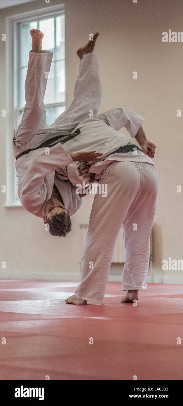 Jitsu - London 2014 - Martial-Arts - TJF Stockfoto