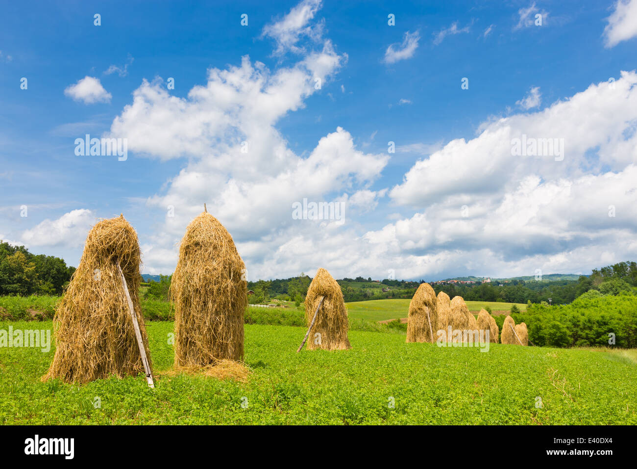 Traditionelle Heu Stapeln auf dem Feld. Stockfoto