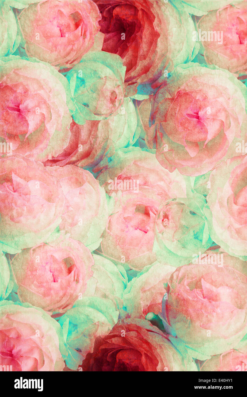 Rosenstrauss, Entfremdung Stockfoto