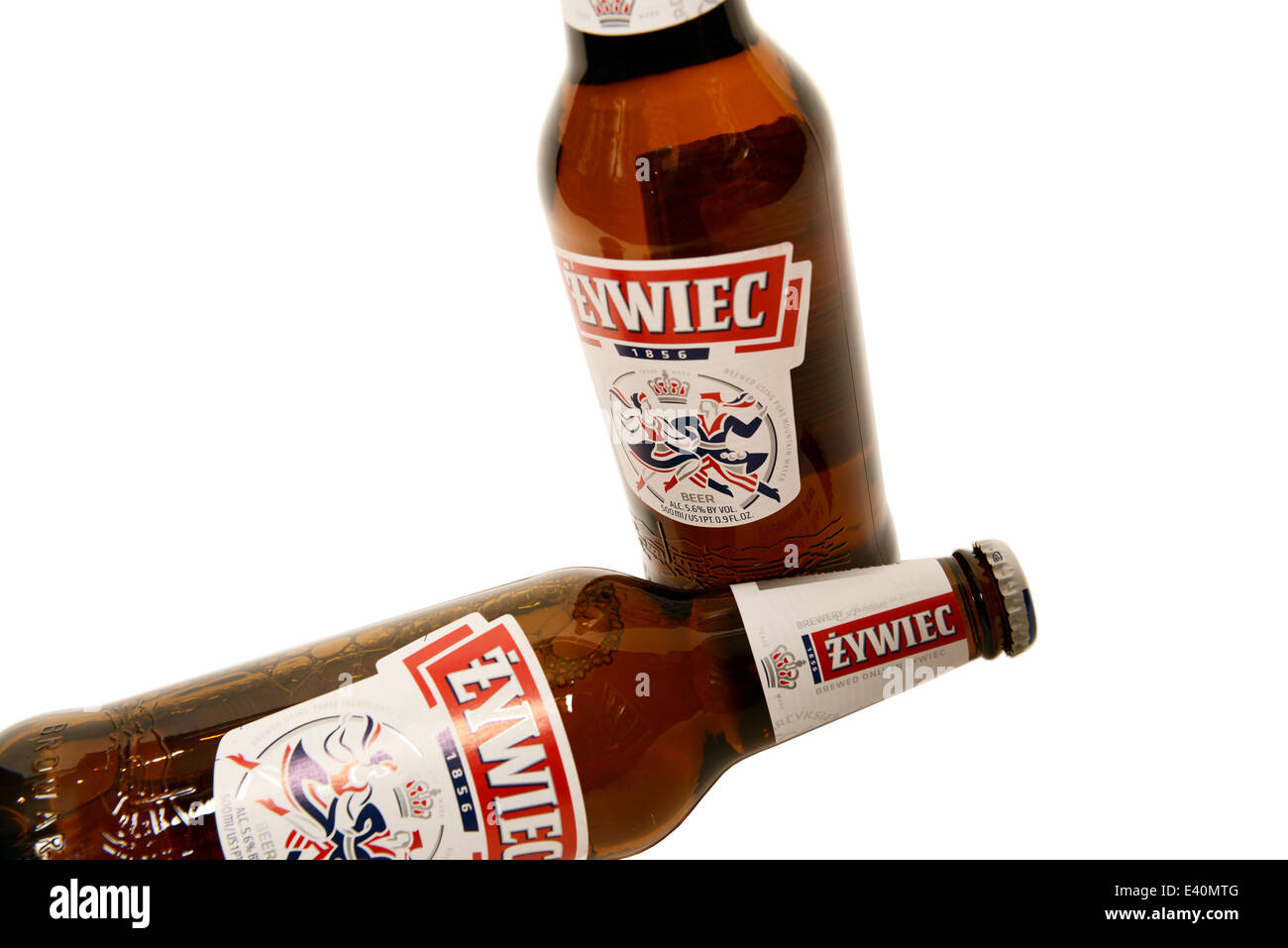 Żywiec Pale Lager Stockfoto