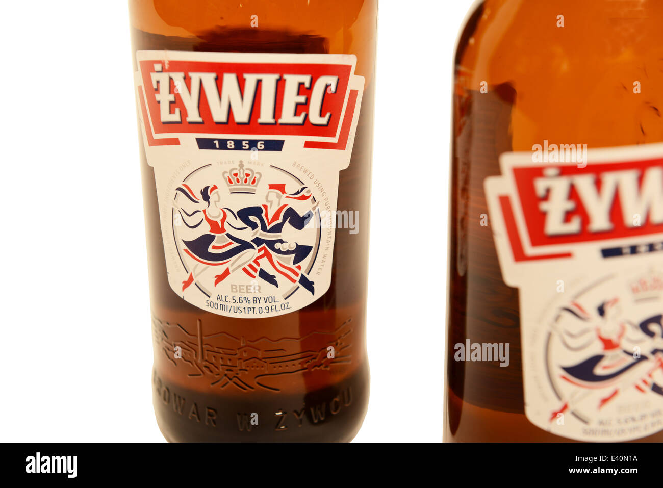 Żywiec Pale Lager Stockfoto