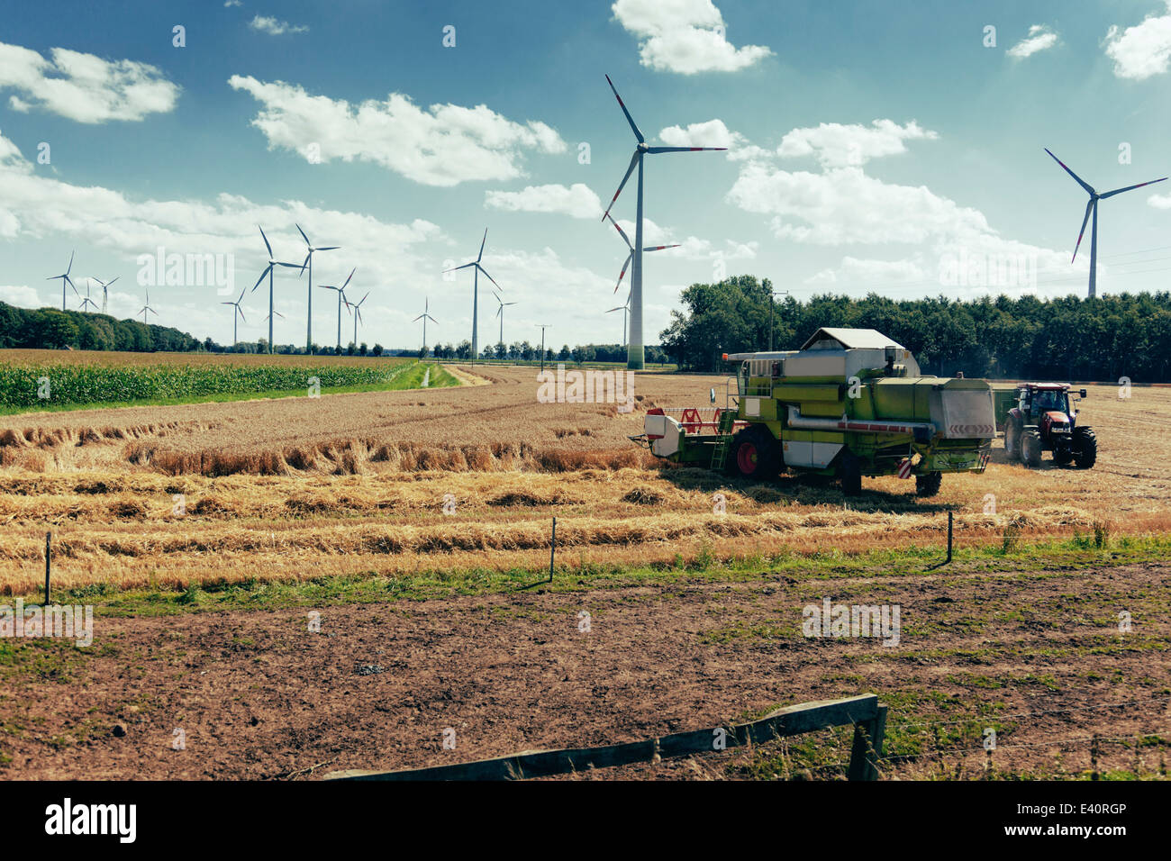 Deutschland, Nordrhein-Westfalen, Sassenberg, Harvester im Bereich wind Räder im Hintergrund Stockfoto