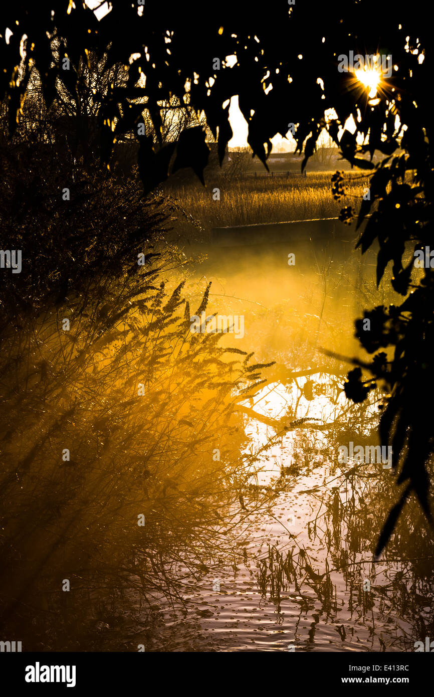 Dawn Sonnenlicht am Grand Union Canal in der Nähe von Leighton Buzzard, Großbritannien Stockfoto