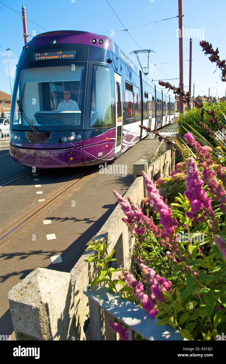 Blackpool Straßenbahn vorbei Garten auf dem Weg von Blackpool zu Fleetwood Stockfoto