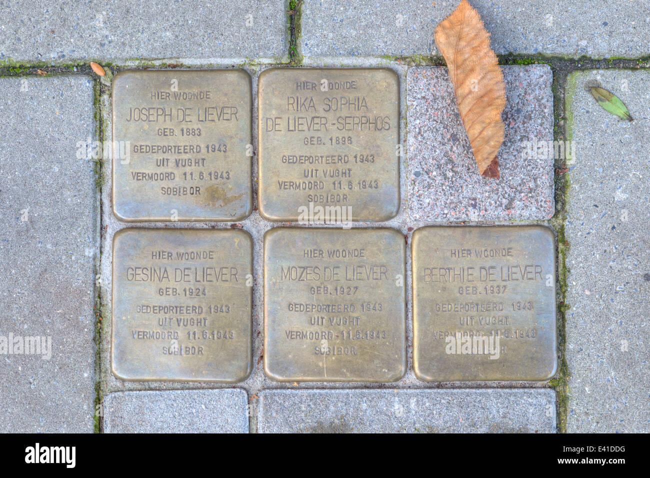 Stolpersteine in Nijkerk, die erinnern, die jüdische Familie von Joseph de Rather, Niederlande Stockfoto