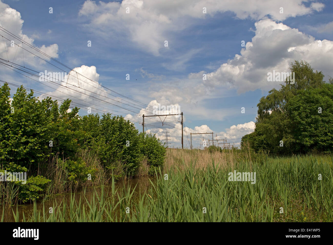 Hoogeveen, Niederlande - 25. Mai 2014: Bahnstrecke, die an ein Naturschutzgebiet in Hoogeveen verläuft... Stockfoto Hoogeveen, Niederlande - 25. Mai 2014: Bahnstrecke, die an ein Naturschutzgebiet in Hoogeveen verläuft... Stockfoto