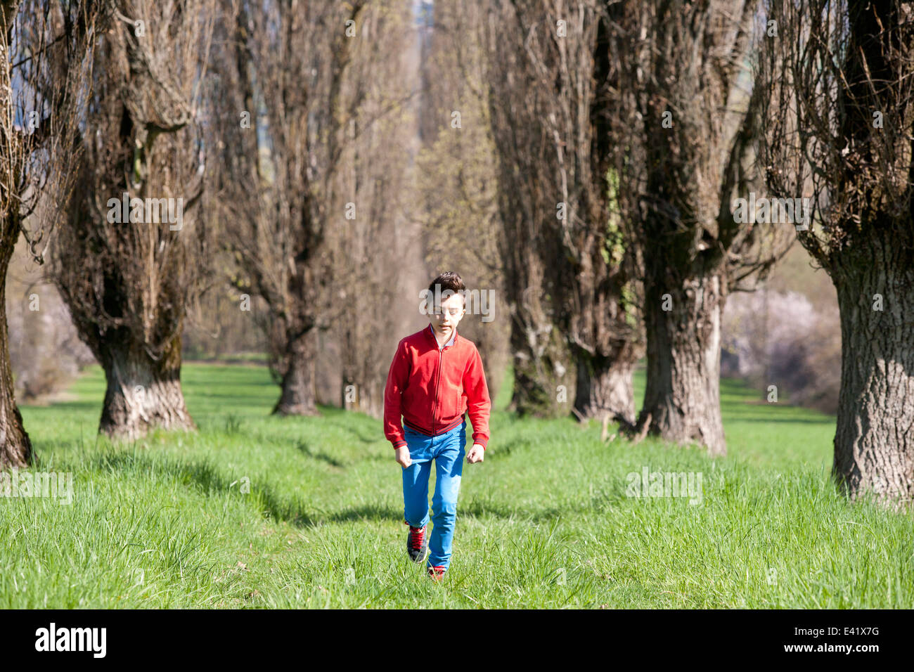 Zwölf Jahre alter Junge, von Bäumen gesäumten Feld entlang Stockfoto