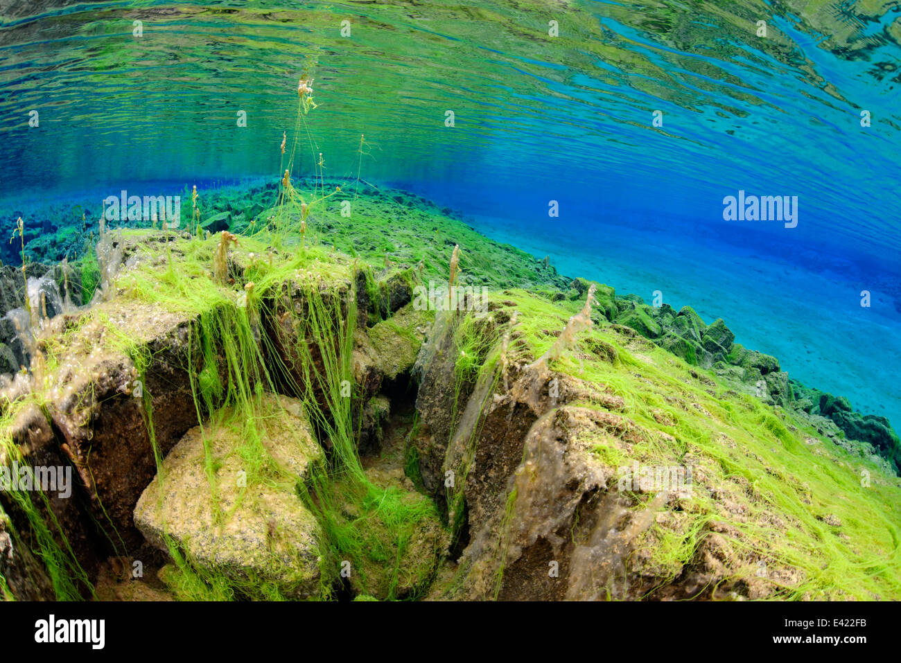 Silfra, Silfra - Süßwasser Riss zwischen den Kontinenten, Lagune, Silfra, Thingvellir Nationalpark, Island Stockfoto