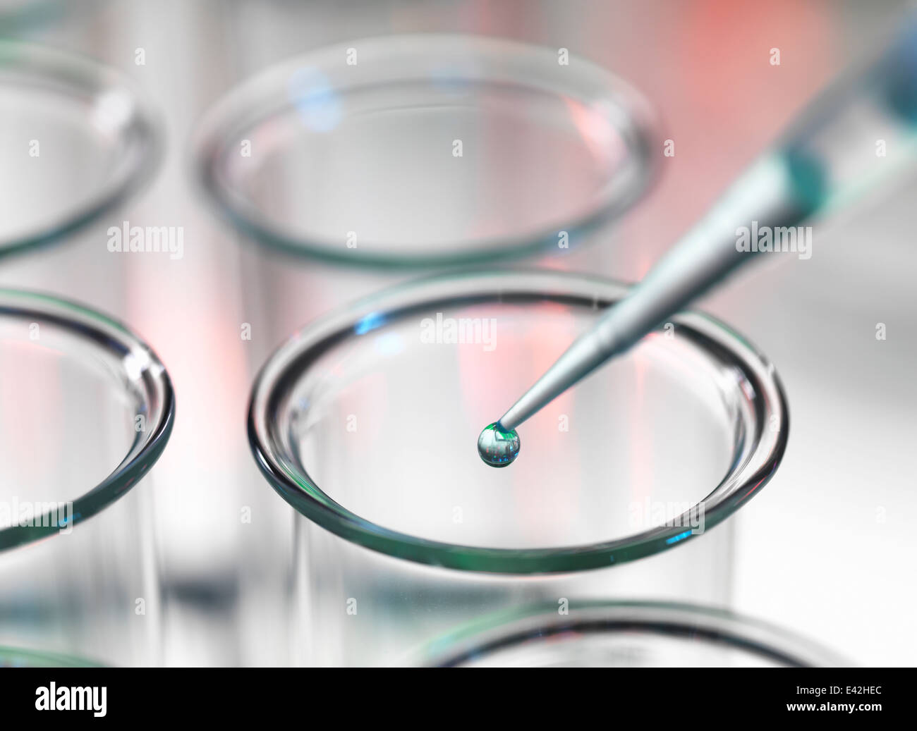 Pipette Tropfen Flüssigkeit in Reagenzglas Stockfoto