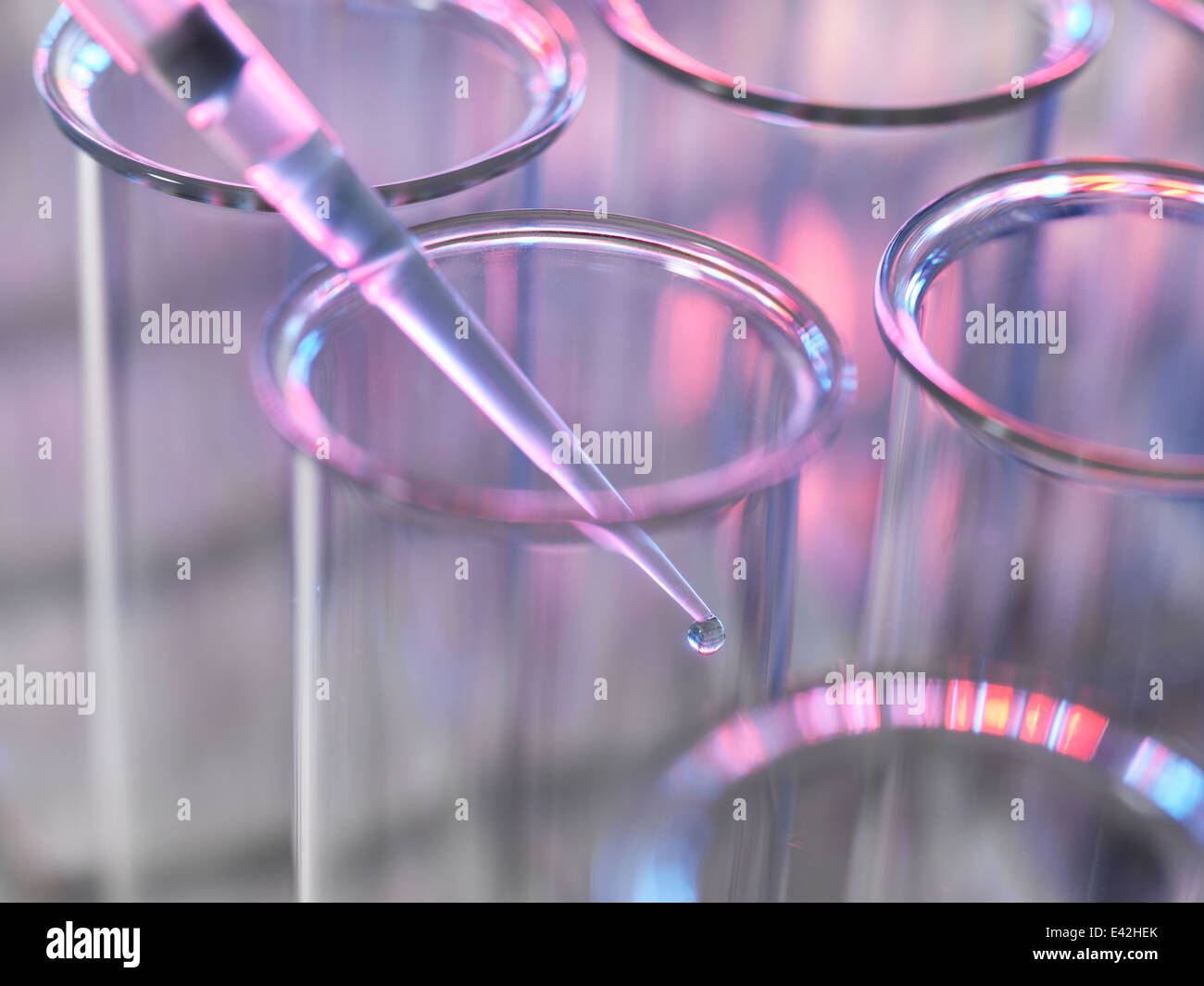 Pipette ein Reagenzglas in einem Labor Probe hinzufügen Stockfoto