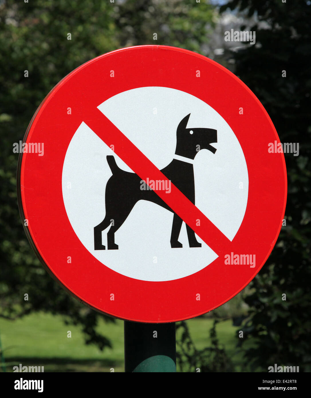 Kein bellen Hunde Haustiere sign.keep entfernt Stockfoto