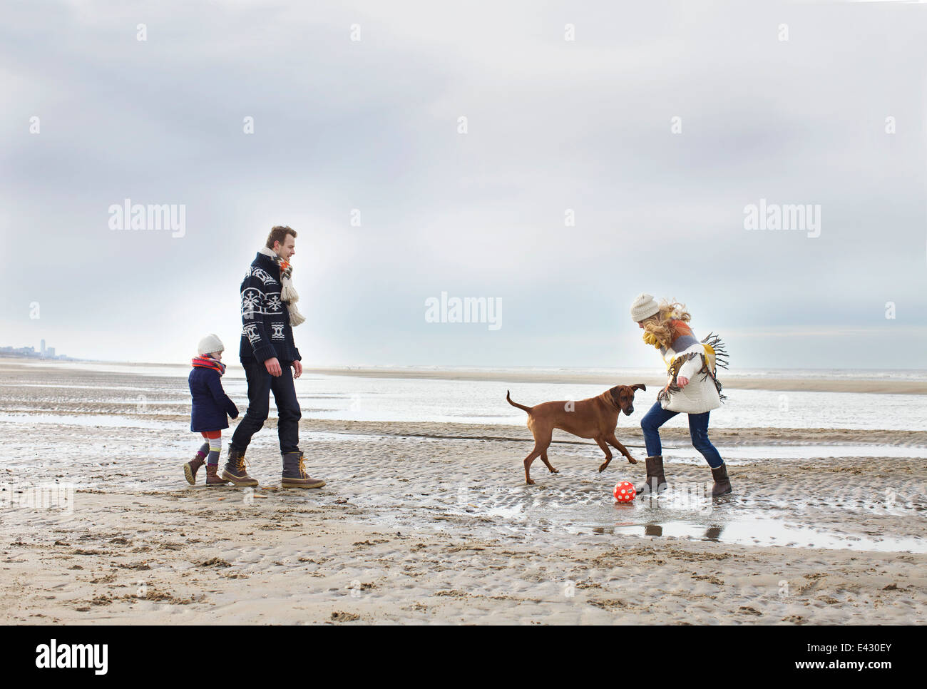 Mitte Erwachsenen Eltern mit Tochter und Hund spielen Fußball am Strand, Bloemendaal Aan Zee, Niederlande Stockfoto