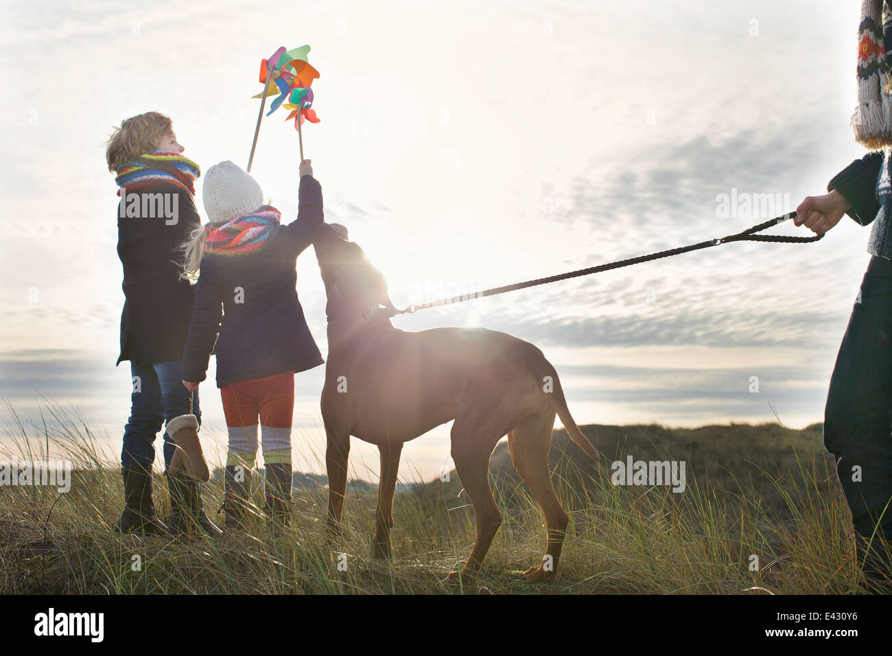 Mitte erwachsenen Mannes mit Sohn, Tochter und Hund an Küste Stockfoto