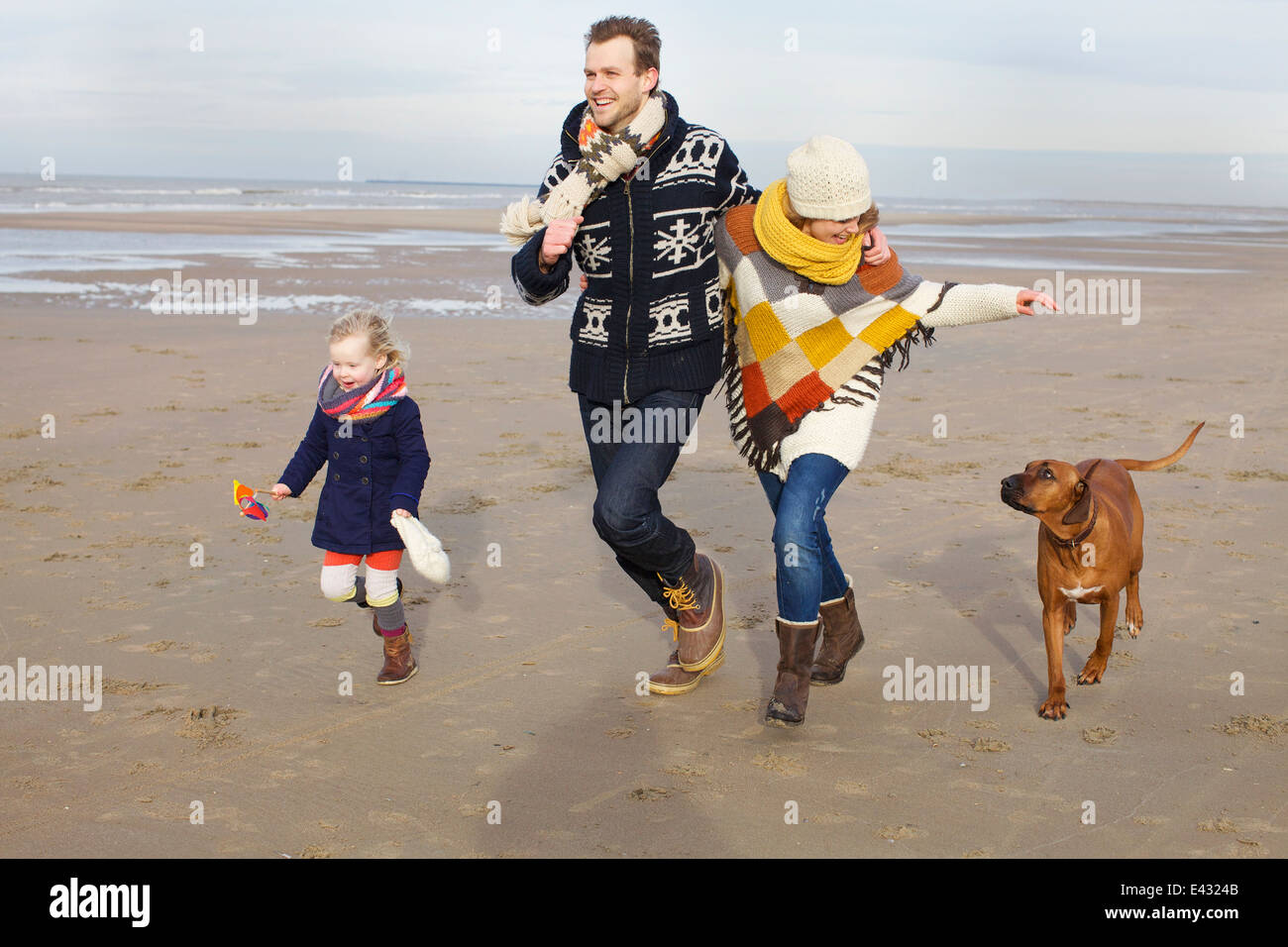 Mitte Erwachsenen Eltern, Tochter und Hund am Strand von Bloemendaal Aan Zee,  Niederlande Stockfotografie - Alamy