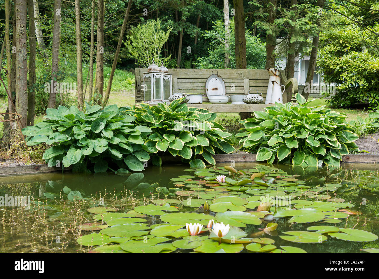 Teich mit Seerose Hosta Pflanzen und Wald als Hintergrund