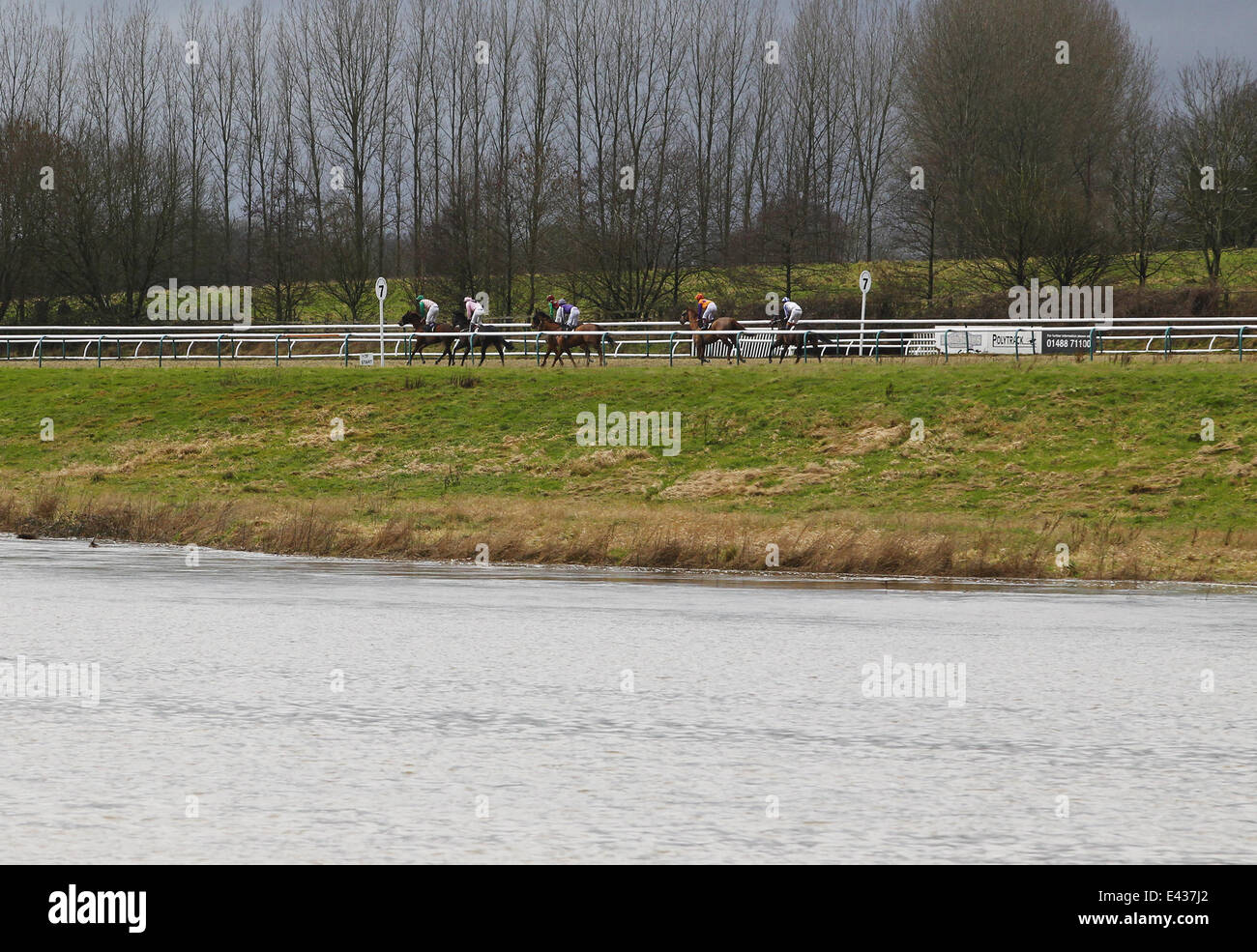 Rennsport geht voran in Lingfield Racecourse trotz ein großer Teil des Kurses wird unter Wasser und viele der umliegenden Straßen überflutet wo: Surrey, Großbritannien: 17. Januar 2014 Stockfoto