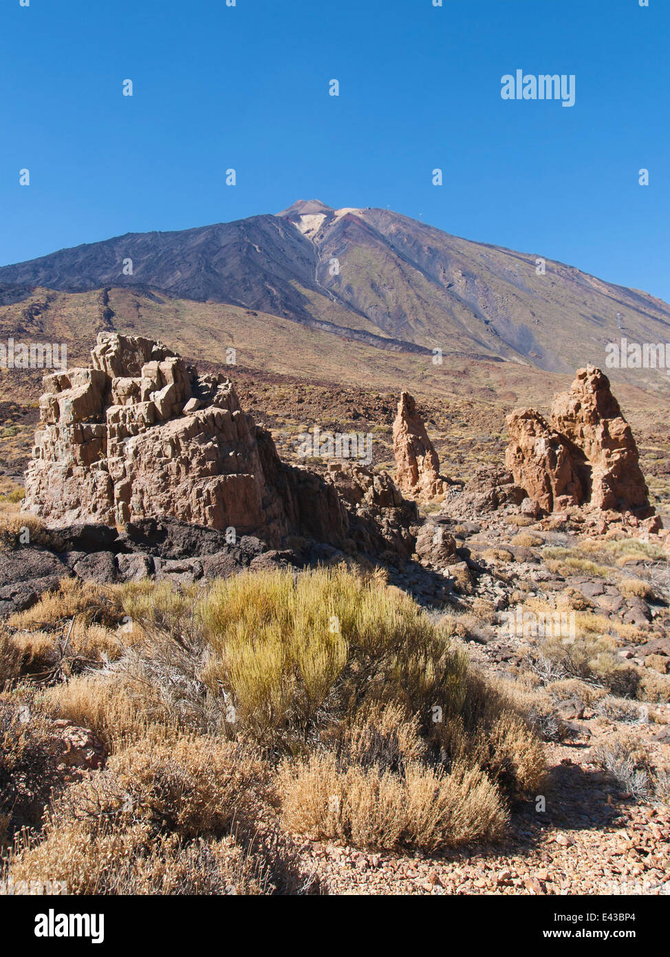 Der Teide auf Teneriffa, Kanarische Inseln. Stockfoto