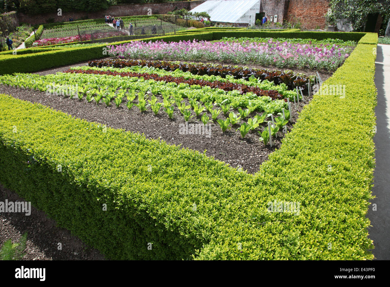 Heligan Garten Stockfoto