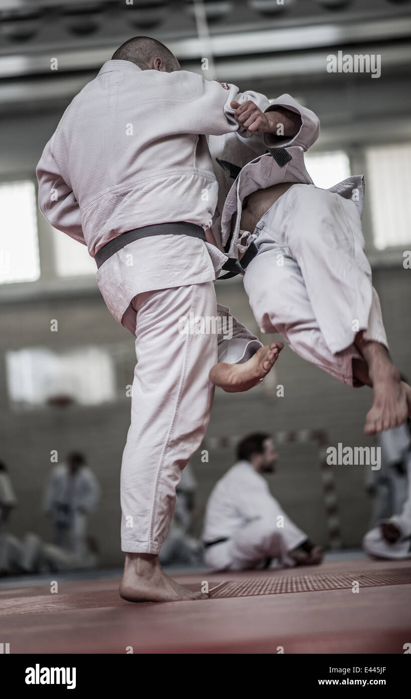 Jitsu - Jitsu-Stiftung - TJF - London, Frühjahr 2014 Stockfoto