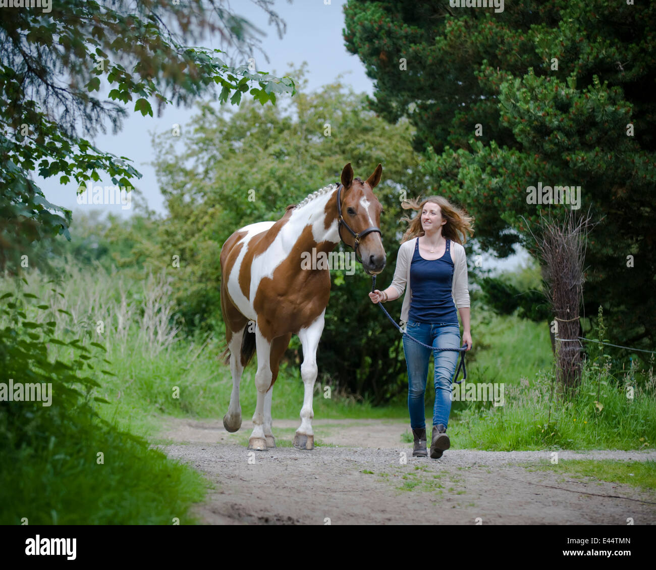 Junge Frau mit farbigen Pferd, in der Nähe zeigt Bindung zwischen Pferd und Besitzer Stockfoto