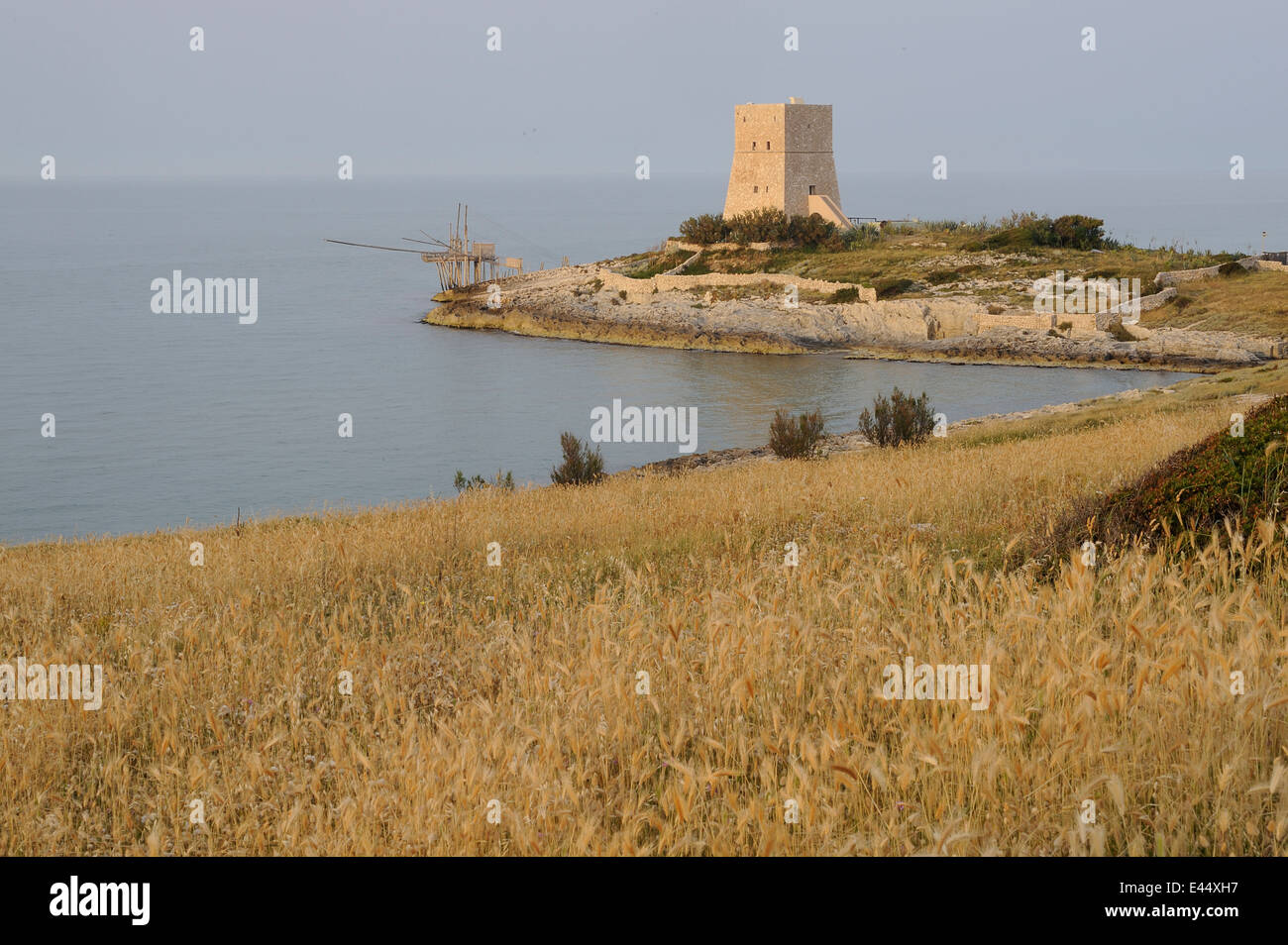 Trabucco, einem typischen Fischerdorf net Haus und ein Alter Aussichtsturm, Vieste Küste, Foggia Nationalpark Gargano, Apulien, Italien Stockfoto