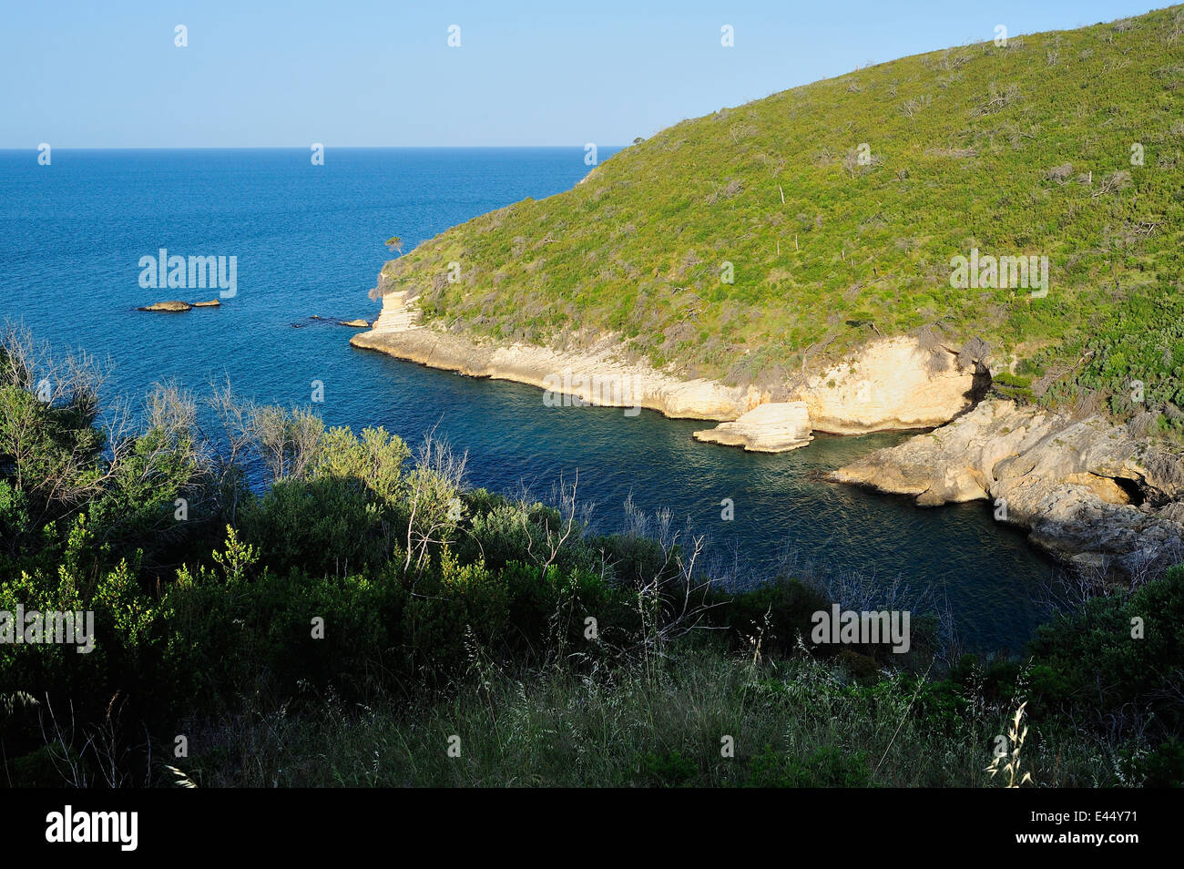 Küste des Gargano-Nationalpark, Apulien, Italien, Europa Stockfoto