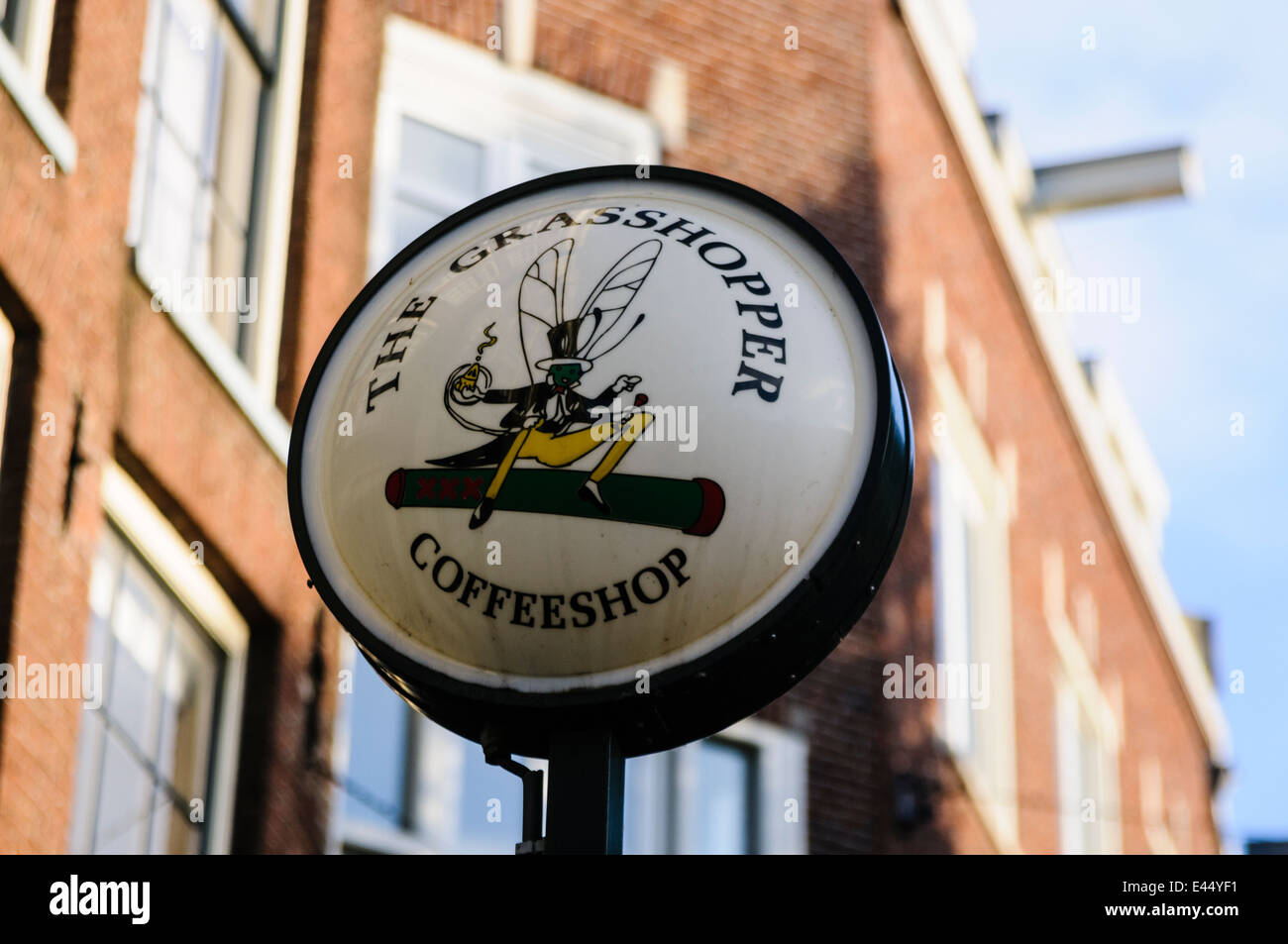Der Grasshopper-Coffee-Shop, Amsterdam Stockfoto