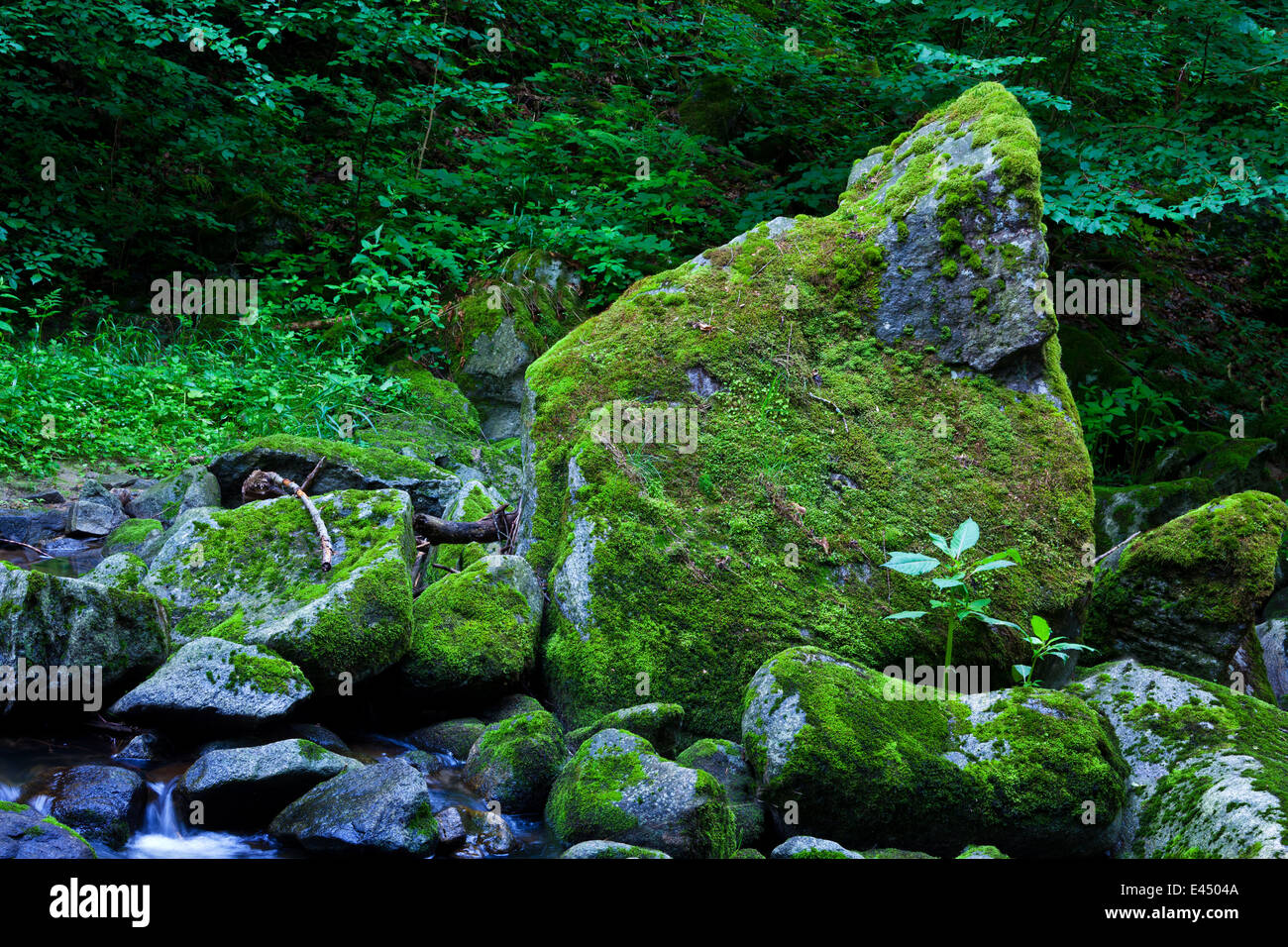 Ein kühles Gewässer Wasser und Felsen in den Bergen. Unberührte Natur. Stockfoto