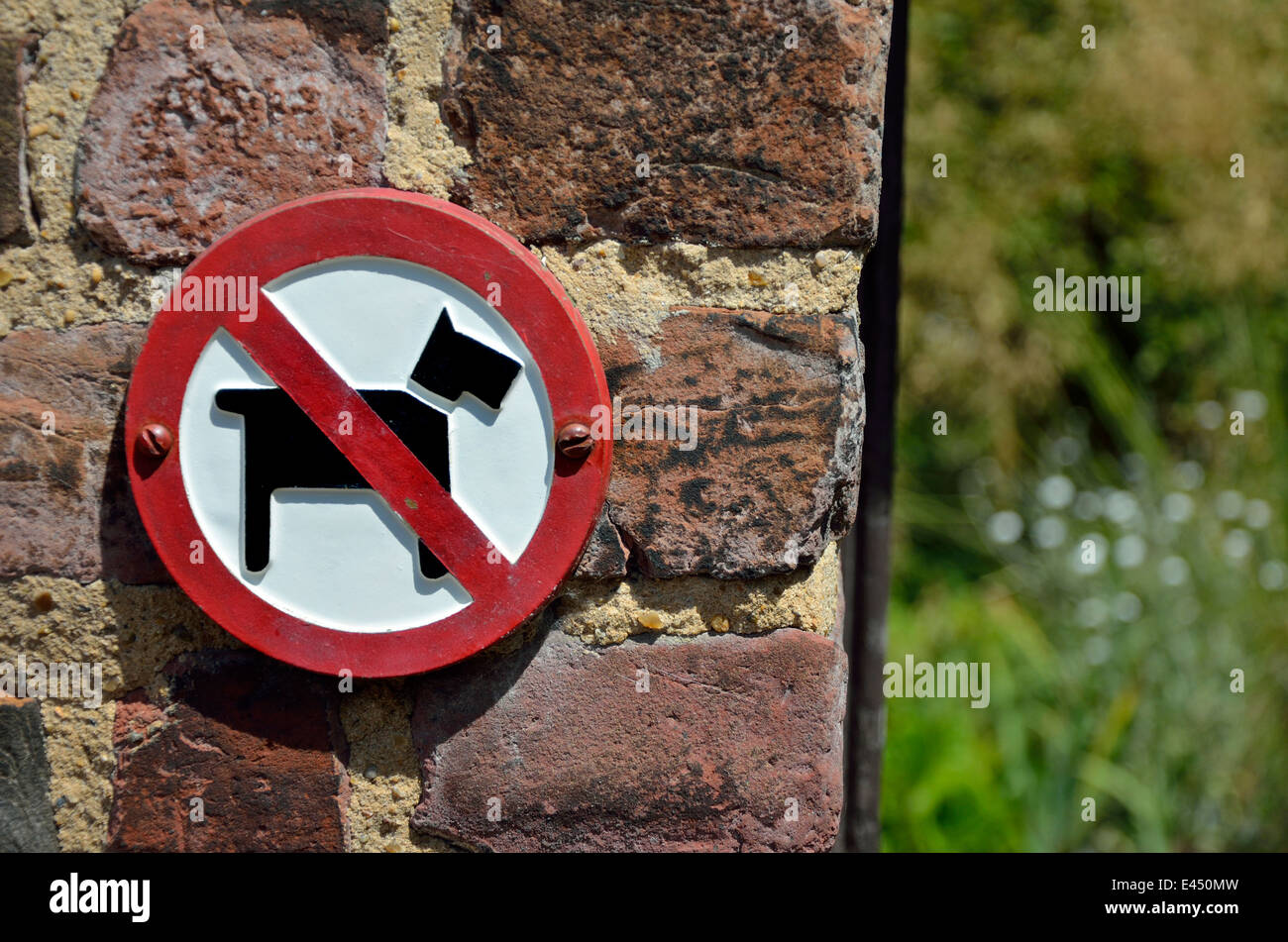 Chatham, Kent, England, UK. Keine Hunde erlaubt Schild am Eingang zum Garten (in der historischen Schiffswerft) Stockfoto