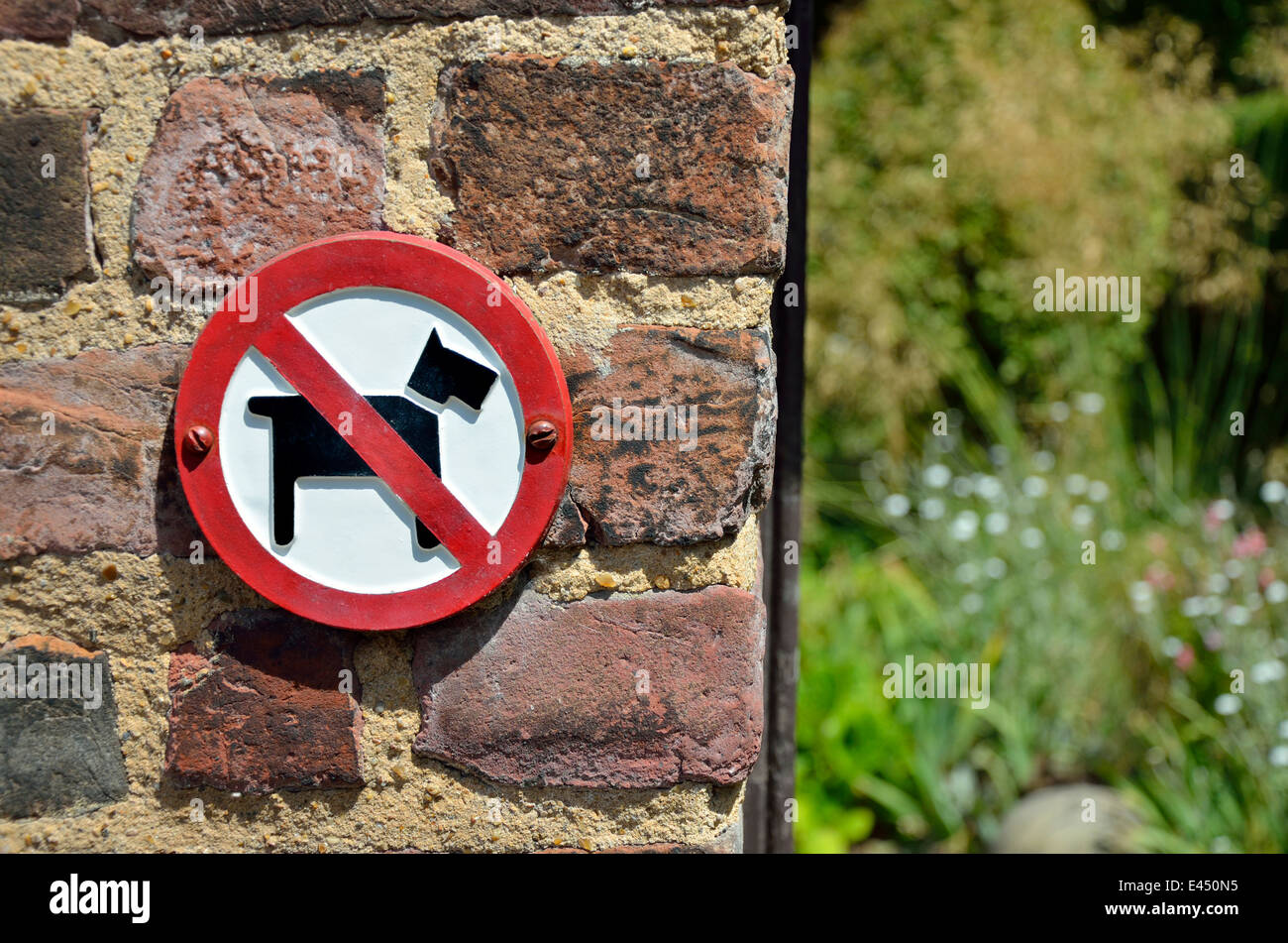 Chatham, Kent, England, UK. Keine Hunde erlaubt Schild am Eingang zum Garten (in der historischen Schiffswerft) Stockfoto