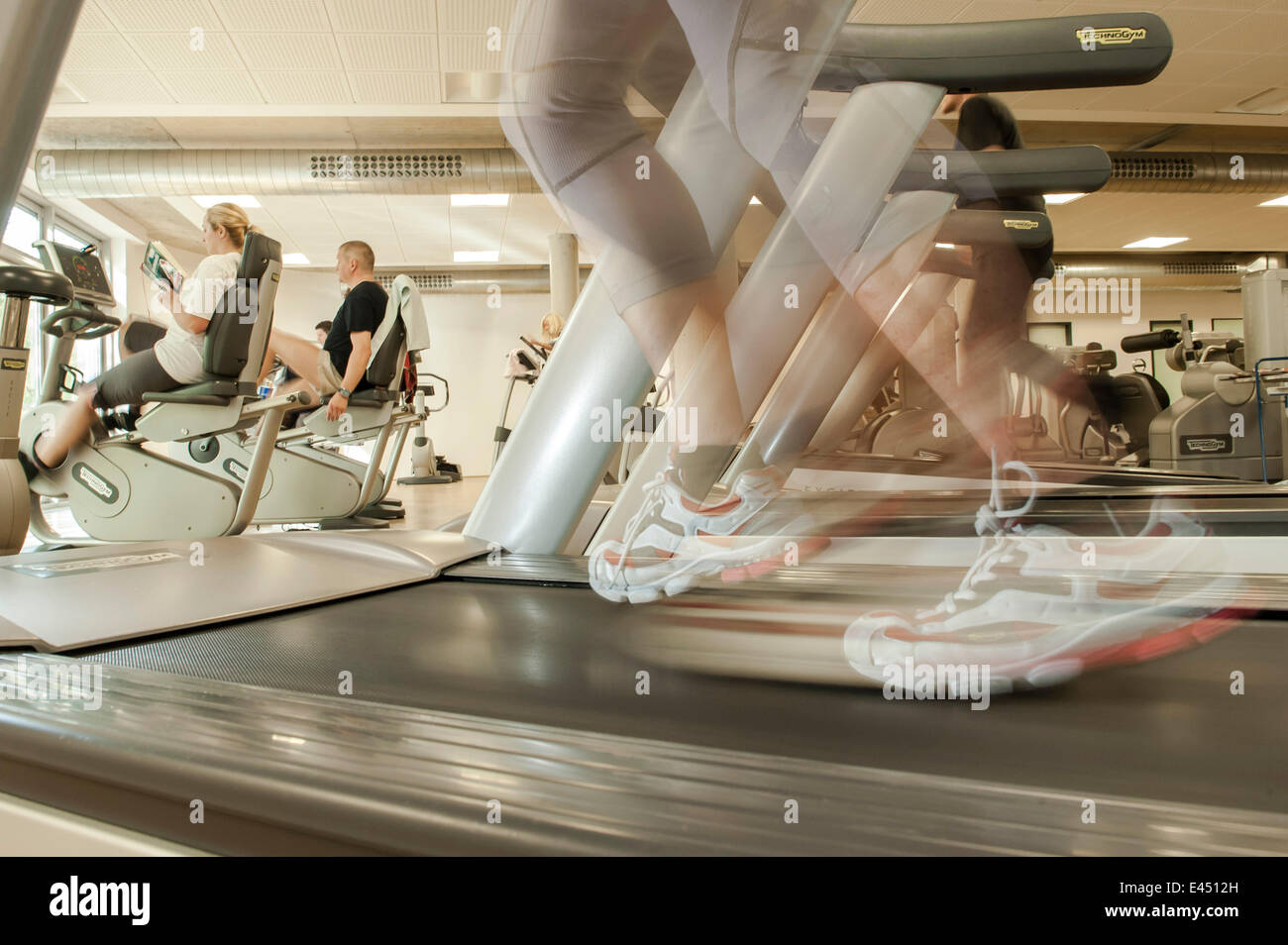 Weibliche Athleten trainieren auf einem Laufband in einem Fitnessstudio,  Oberhausen, Nordrhein-Westfalen, Deutschland Stockfotografie - Alamy