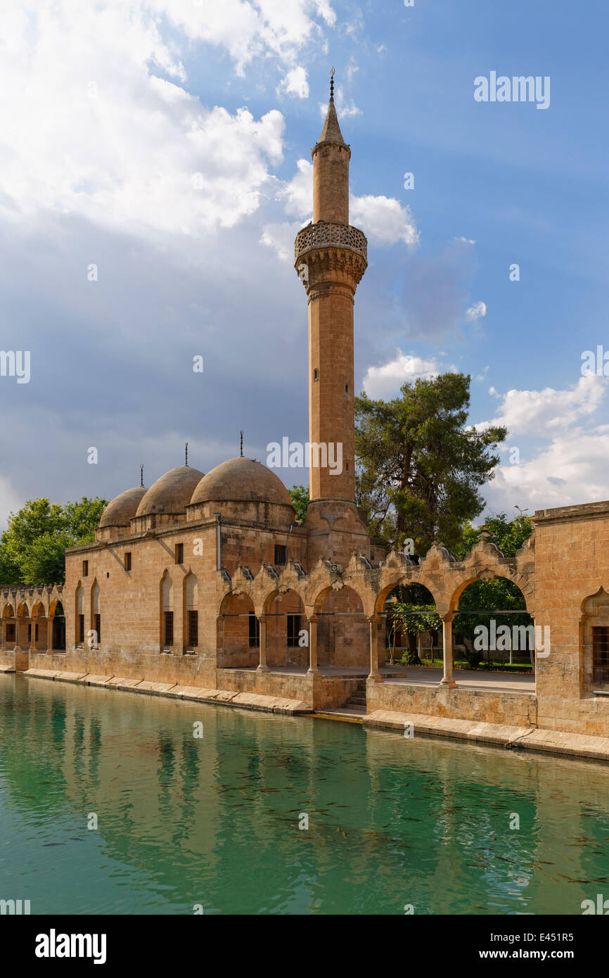 Teich von Abraham mit Rizvaniye Moschee, Abrahamteich Teich und Rizvaniye Camii, Sanliurfa, Urfa, Şanlıurfa Stockfoto