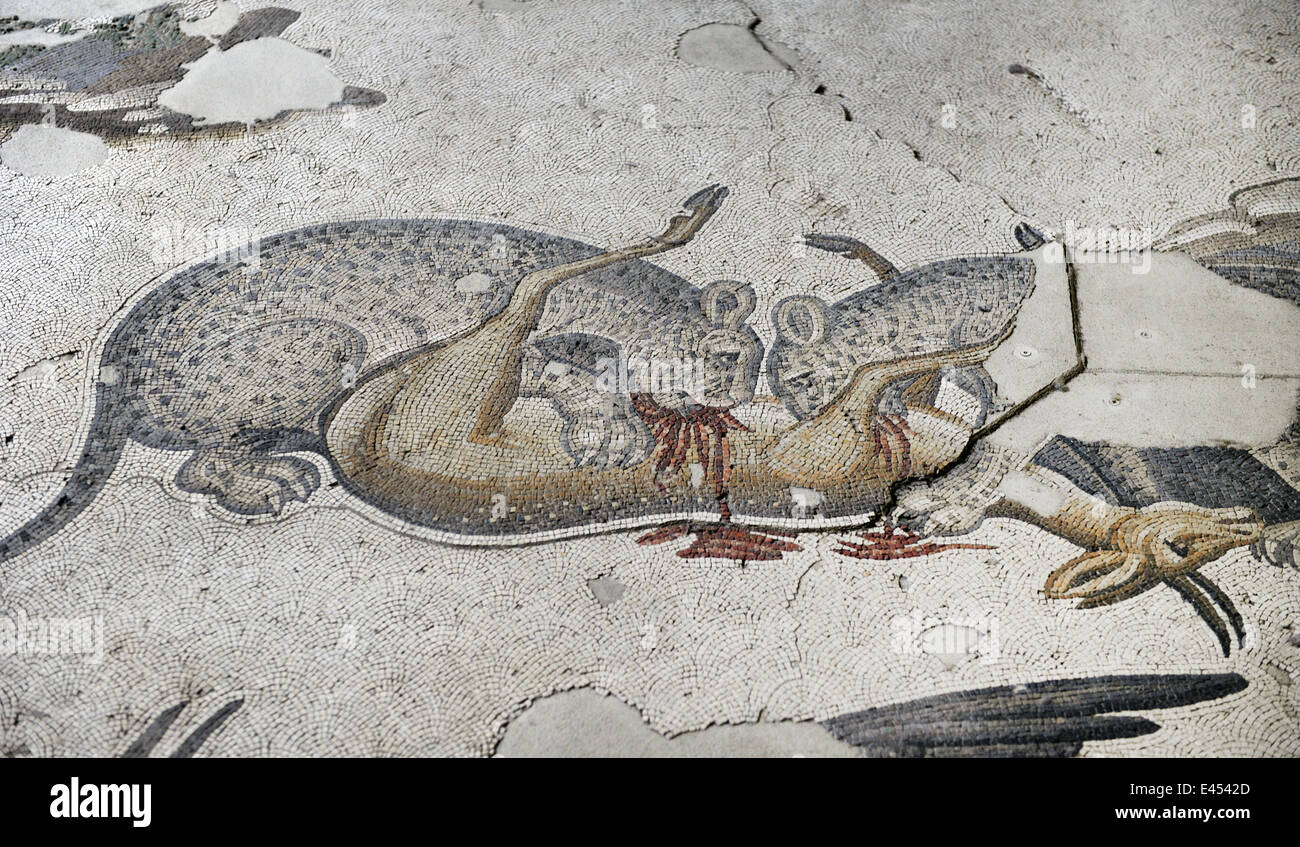 Großer Palast Mosaik-Museum. 4.-6. Jahrhunderte. Detail eines Mosaiks, die Darstellung von zwei Tieren verschlingt ein Reh. Istanbul. Turkei. Stockfoto