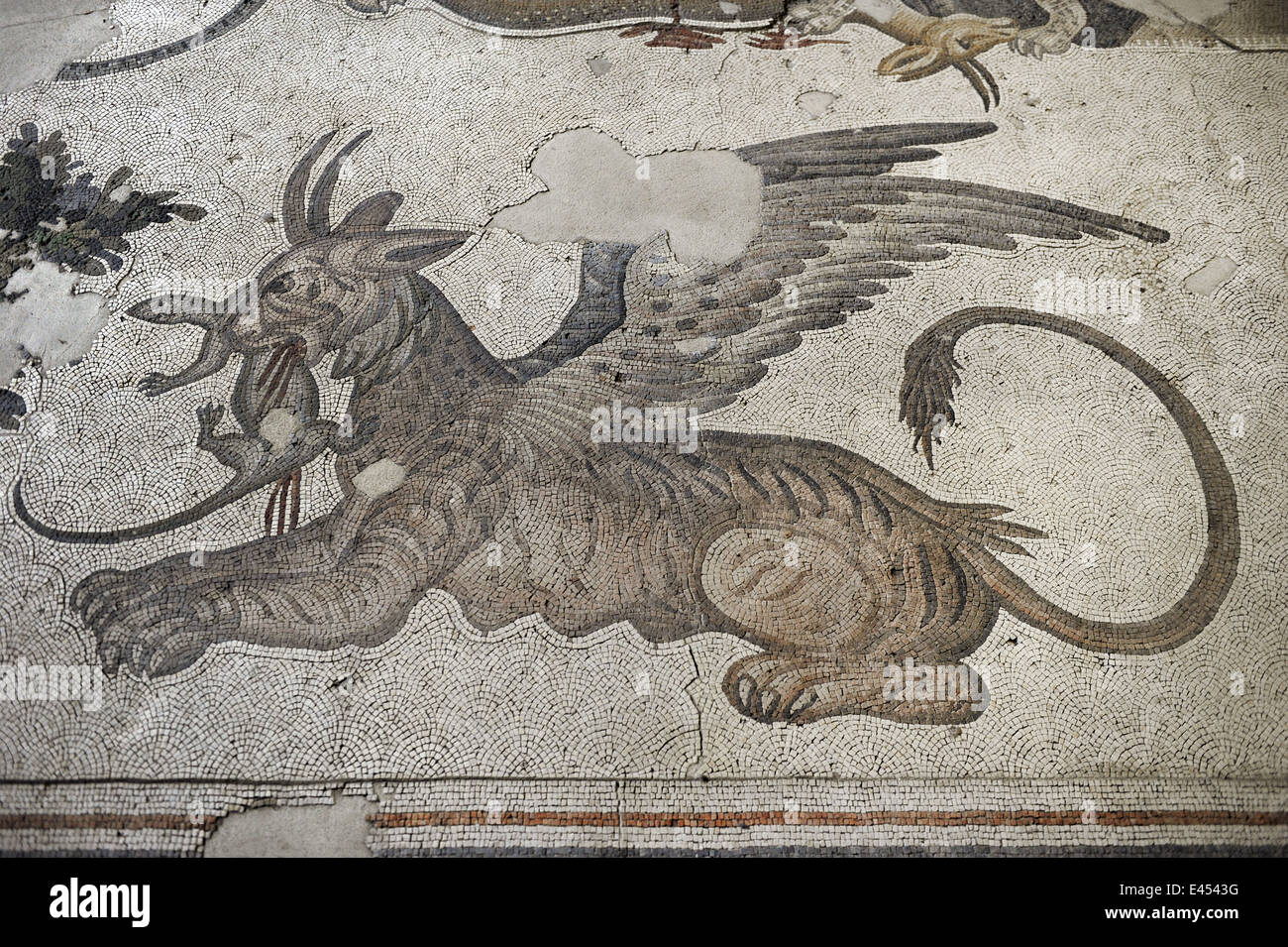 Großer Palast Mosaik-Museum. 4.-6. Jahrhunderte. Detail eines Mosaiks Darstellung ein Löwe Greif. Istanbul. Turkei. Stockfoto