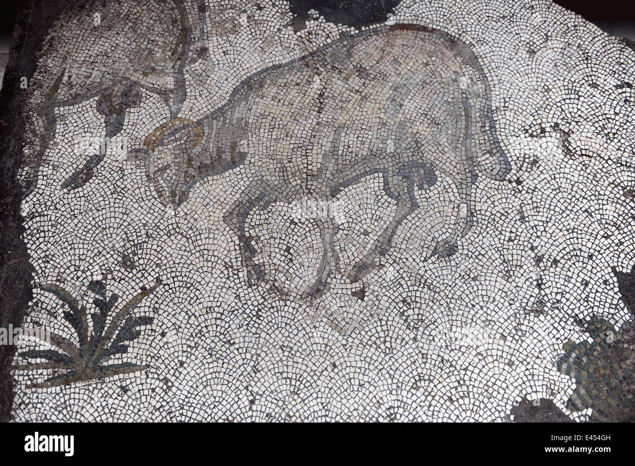 Großer Palast Mosaik-Museum. 4.-6. Jahrhunderte. Detail eines Mosaiks Darstellung ein Schaf. Süd-West-Halle. Istanbul. Turkei. Stockfoto