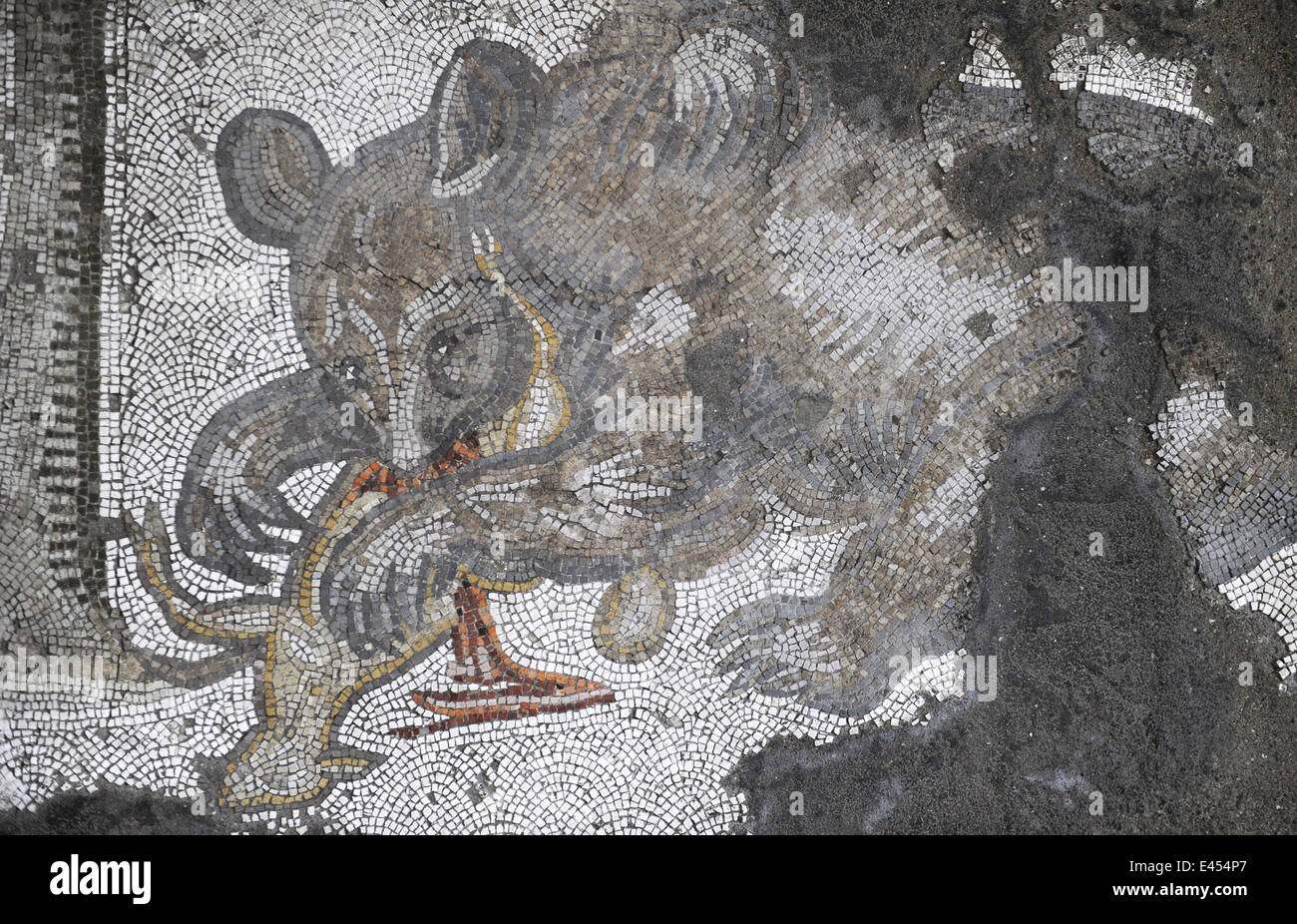 Großer Palast Mosaik-Museum. 4.-6. Jahrhunderte. Detail eines Mosaiks Darstellung eines Bären verschlingt ein Lamm. E. Istanbul-Sektor. Turkei. Stockfoto