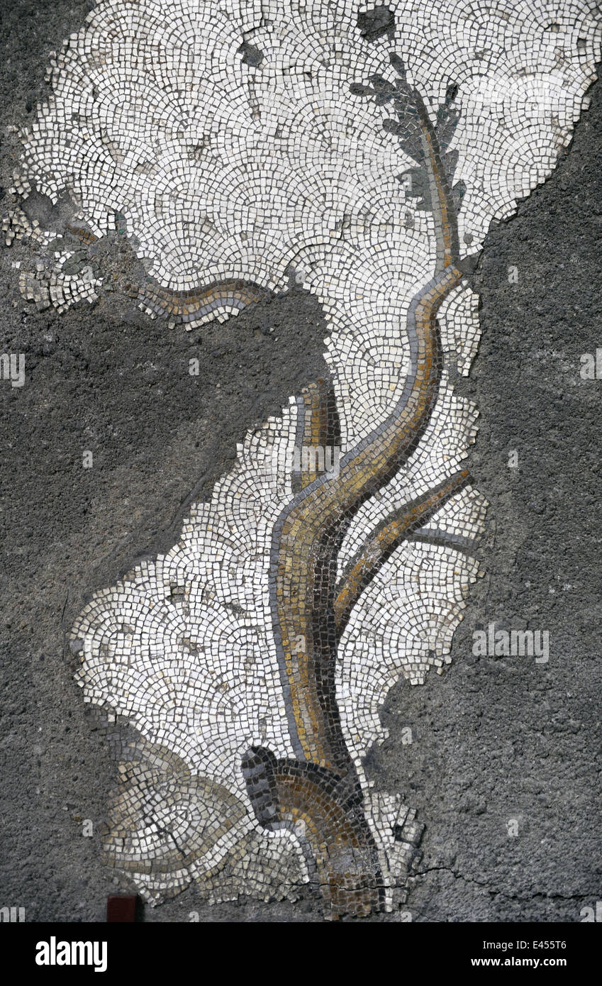 Großer Palast Mosaik-Museum. 4.-6. Jahrhunderte. Detail eines Mosaiks Darstellung ein Ast eines Baumes. Istanbul. Turkei. Stockfoto