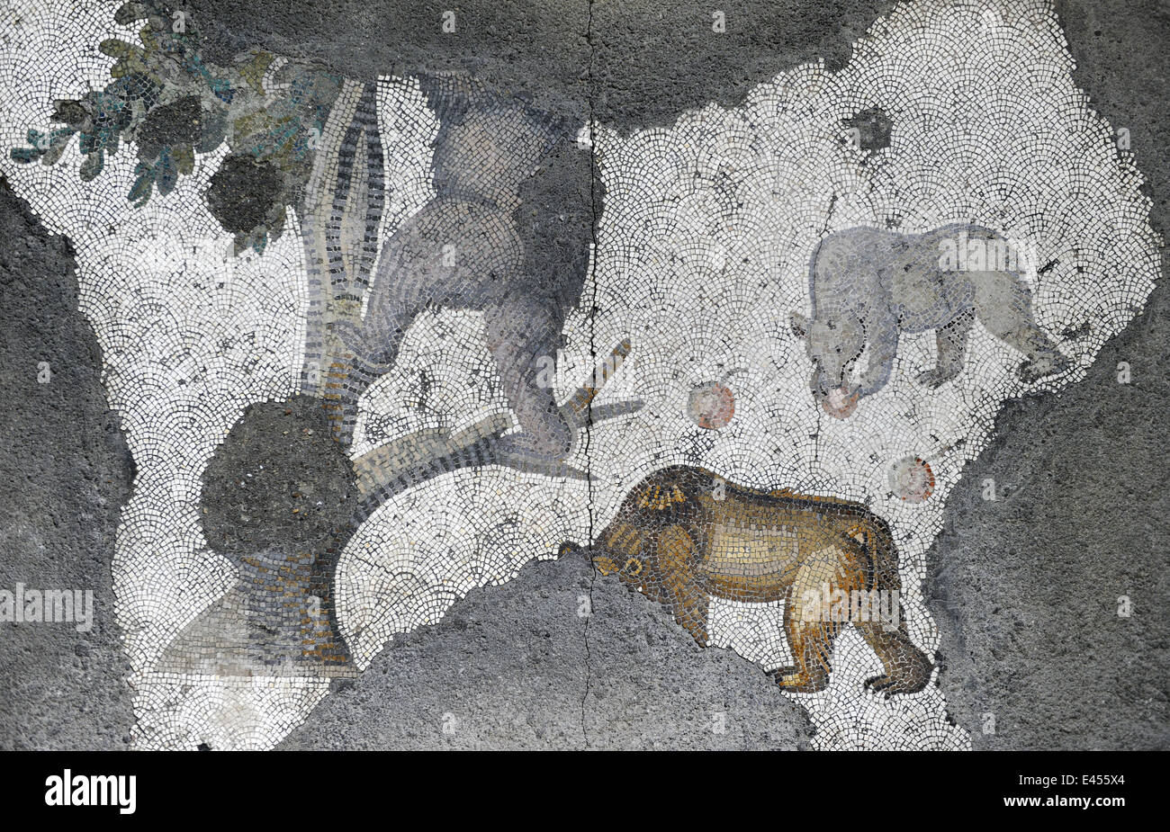 Großer Palast Mosaik-Museum. 4.-6. Jahrhunderte. Detail eines Mosaiks Darstellung einer Bären-Familie unter einem Apfelbaum.  Istanbul. Turkei Stockfoto