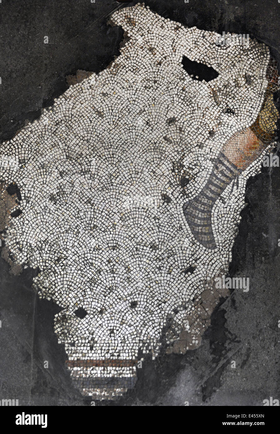 Großer Palast Mosaik-Museum. 4.-6. Jahrhunderte. Detail eines Mosaiks Darstellung ein Bein eines Jägers. Istanbul. Turkei. Stockfoto