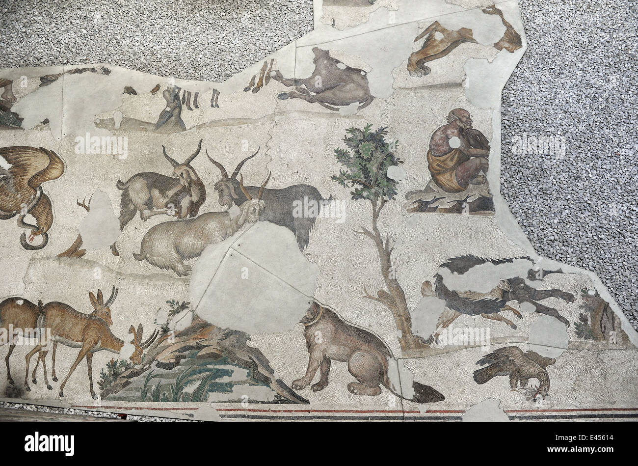 Großer Palast Mosaik-Museum. 4.-6. Jahrhunderte. Detail eines Mosaiks Darstellung einer Gruppe von Tieren. Istanbul. Turkei. Stockfoto