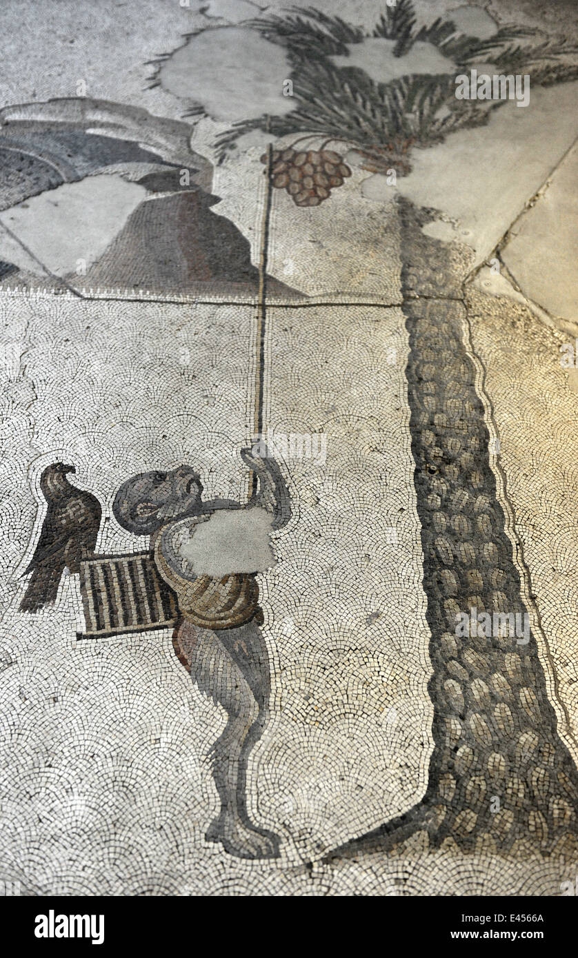 Großer Palast Mosaik-Museum. 4.-6. Jahrhunderte. Detail eines Mosaiks Darstellung eine Affe als Vogelfänger. Istanbul. Turkei. Stockfoto