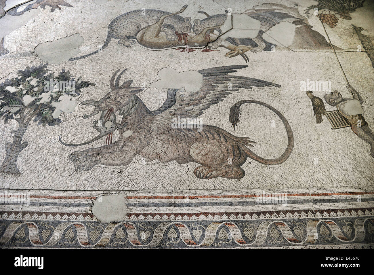 Großer Palast Mosaik-Museum. 4.-6. Jahrhunderte. Detail eines Mosaiks Darstellung ein Löwe Greif. Istanbul. Turkei. Stockfoto