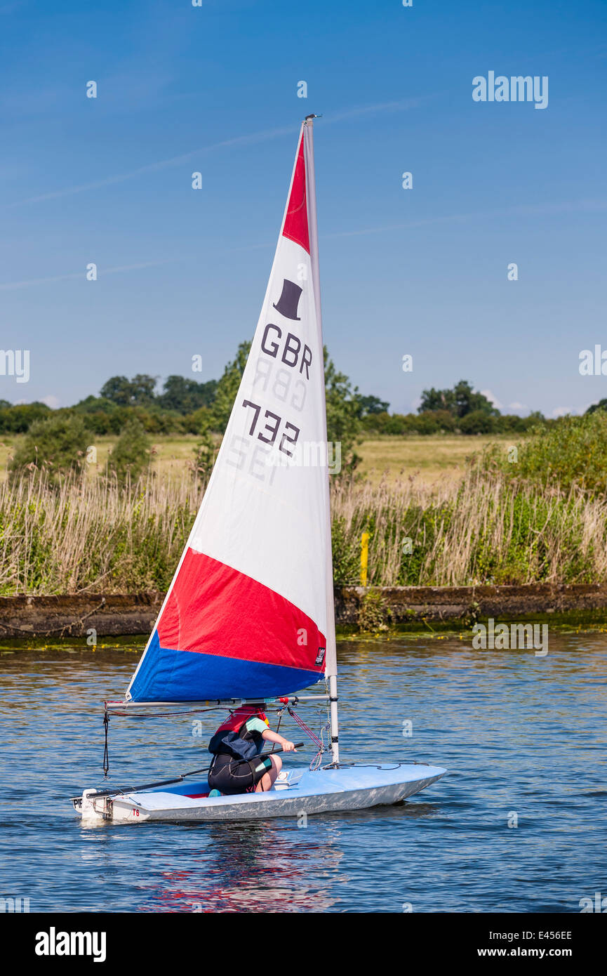 Junge Segeln eine Topper Jolle bei Beccles Amateur Segelclub am Fluss Waveney Beccles, Suffolk, England, Großbritannien, UK Stockfoto