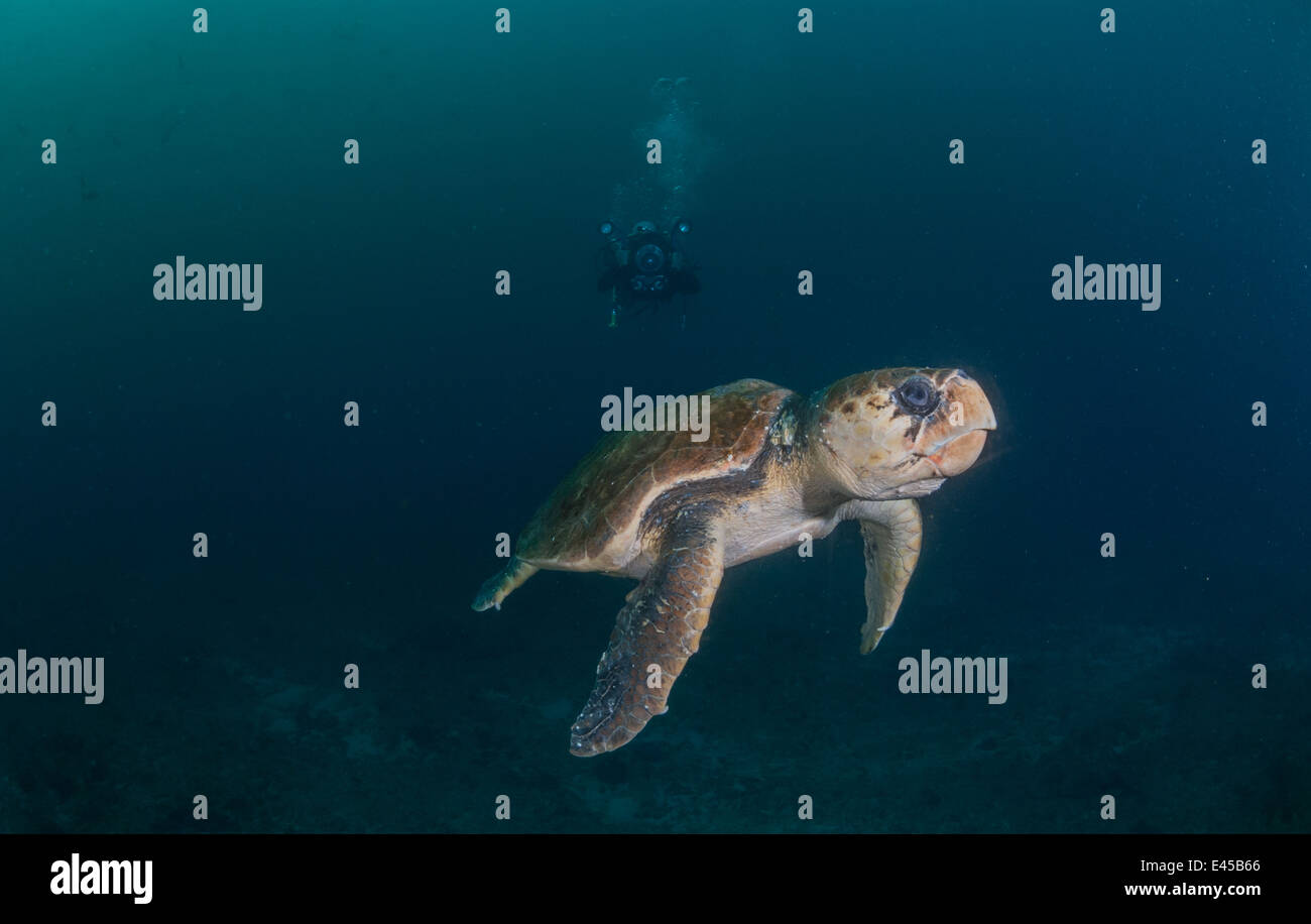 Sodwana Bay Dive Spots Stockfoto