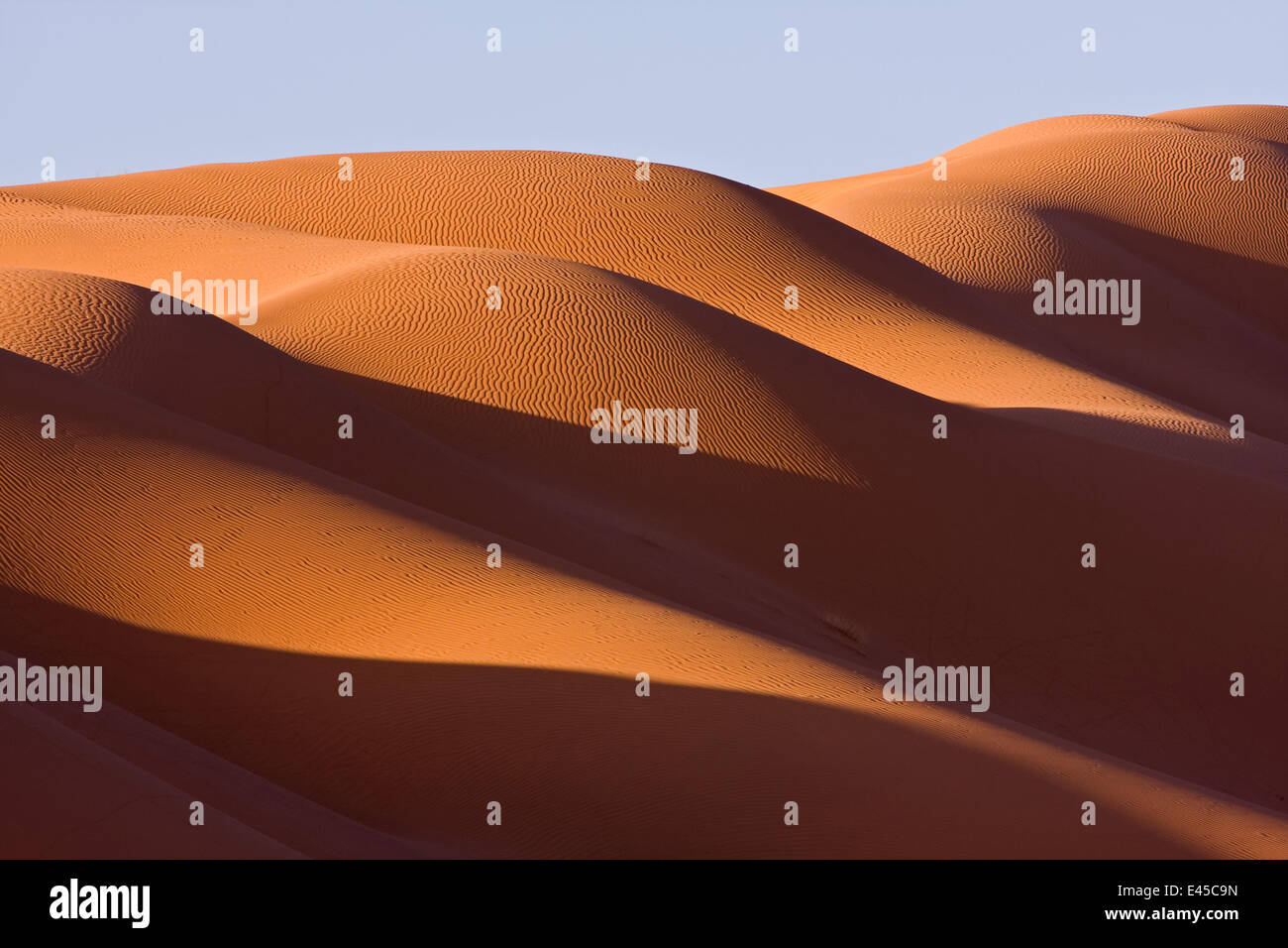 Sanddünen in der Sahara-Wüste bei Sonnenaufgang an der Grenze zwischen Marokko und Algerien, NW-Afrika Stockfoto