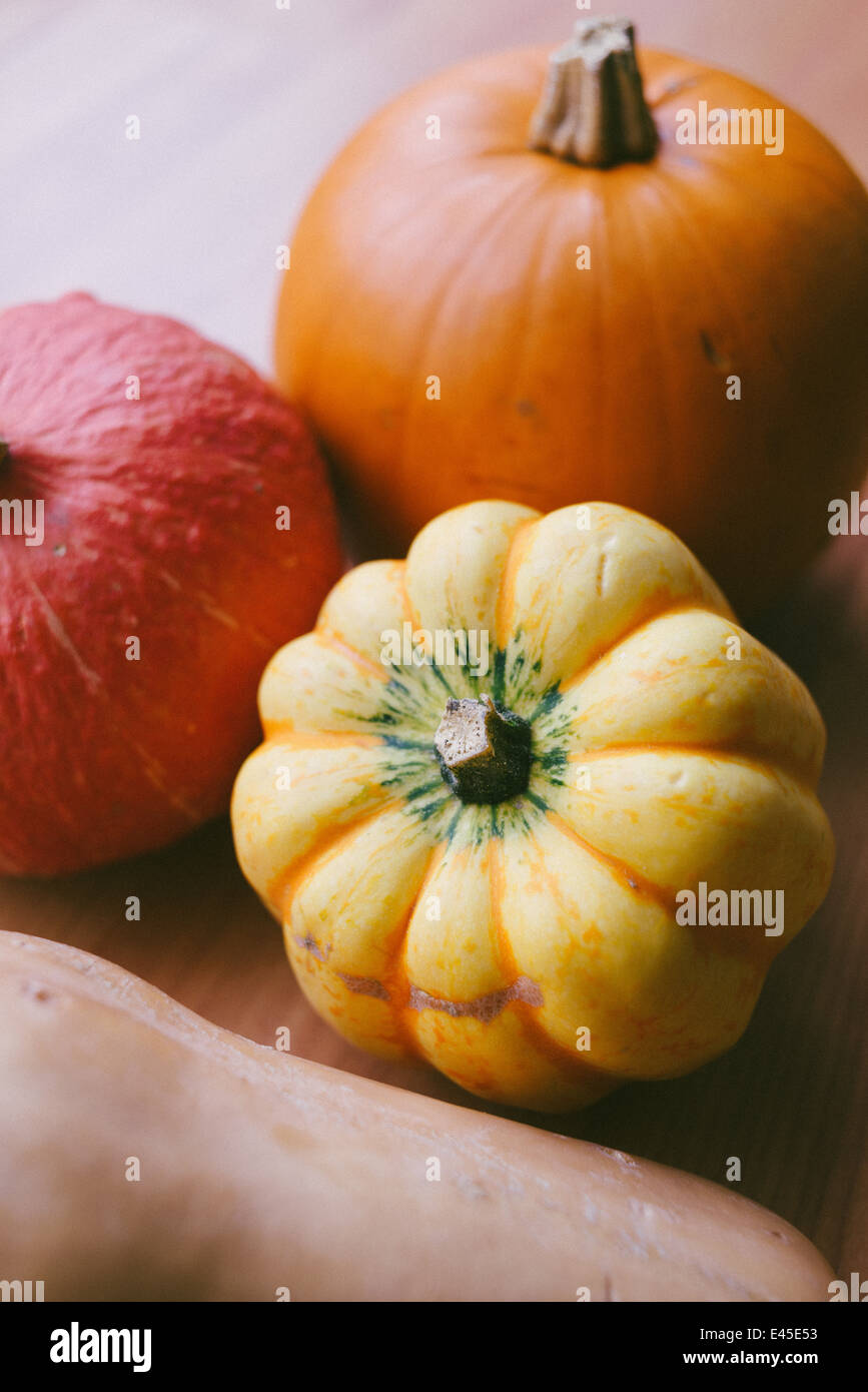 Eine Vielzahl der herbstliche Kürbisse & Kürbisse bereit für Carving für Halloween in spooky Designs und auch dafür, in Suppen und Aufläufe Stockfoto