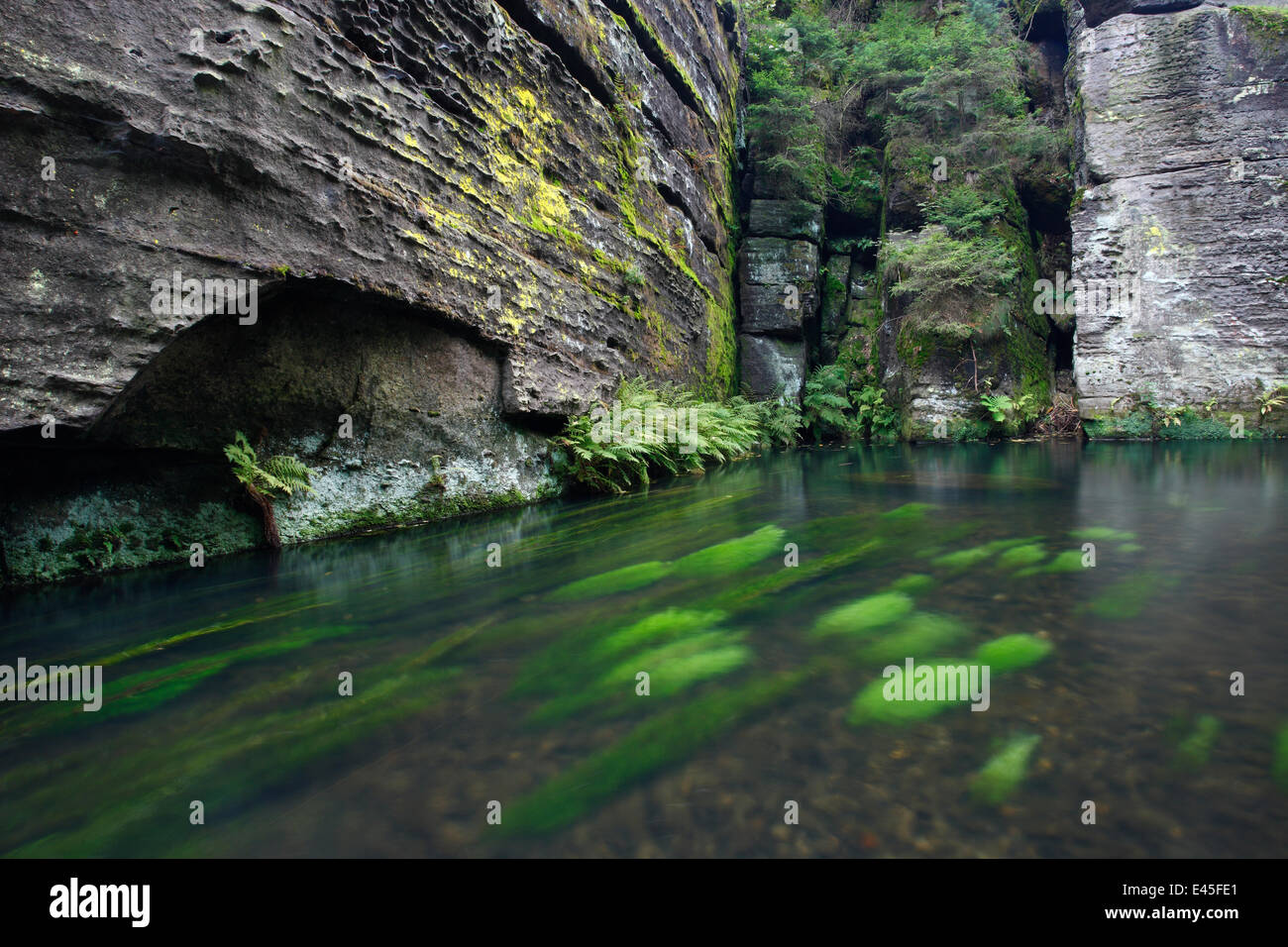 Krinice Fluss fließt vorbei an Felsen Gesichter, Dlouhy Dul Ceske Svycarsko / Nationalpark Böhmische Schweiz, Tschechische Republik, September 2008 Stockfoto