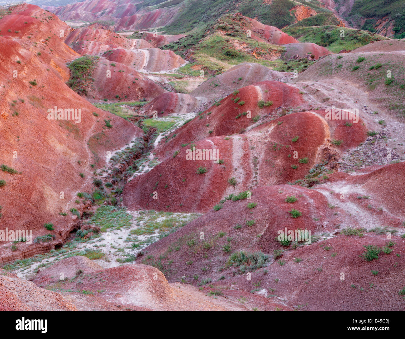 Bunte rollenden Hügel entlang der Grenze zu Aserbaidschan, David Garedscha Nature Reserve, Georgia, Mai 2008 nicht verfügbar für Grußkarten oder Kalender. WWE FREIGELÄNDE Wilde Wunder Kinder Buch. Stockfoto