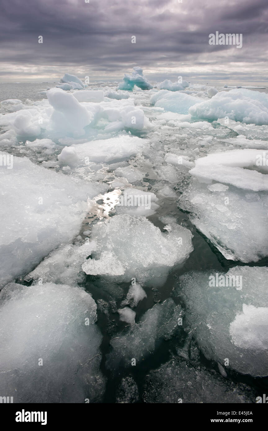 Dreiste Eis von Spitzbergen, Svalbard, Arktis Norwegen, Juni 2009 Stockfoto