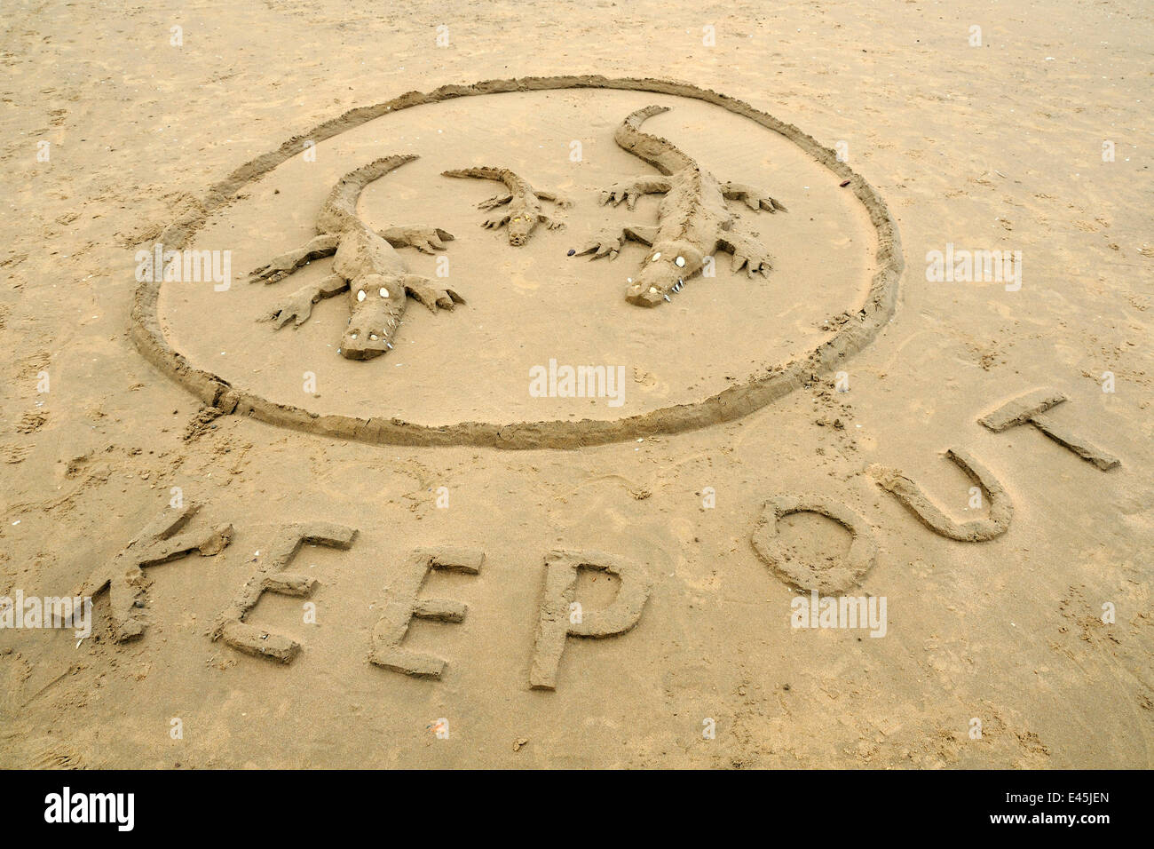 Krokodil-Pool sand Skulptur auf einem sandigen Strand bei Ebbe, Rhossili Beach, The Gower Halbinsel Wales Stockfoto